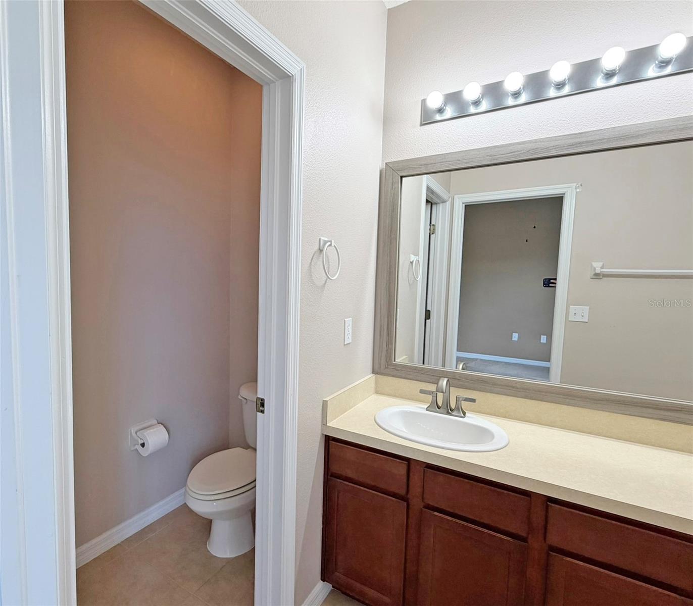 8903 MOONLIT MEADOWS LOOP, RIVERVIEW, FL, 33578