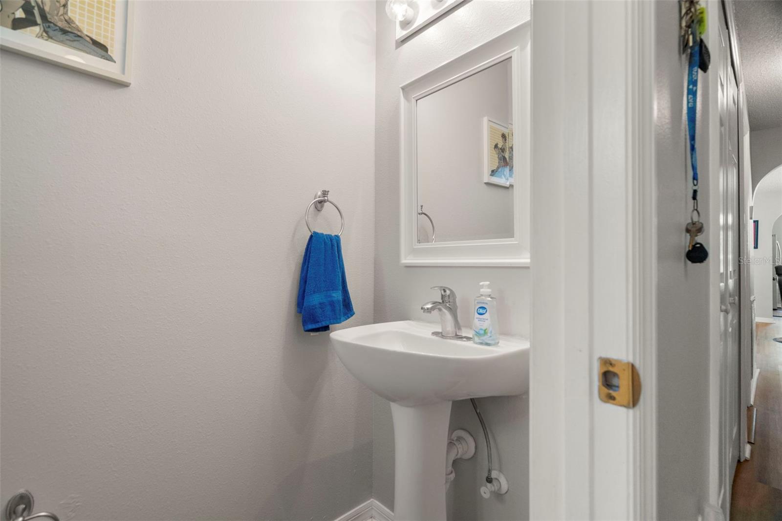 9917 ASHBURN LAKE DR, TAMPA, FL, 33610