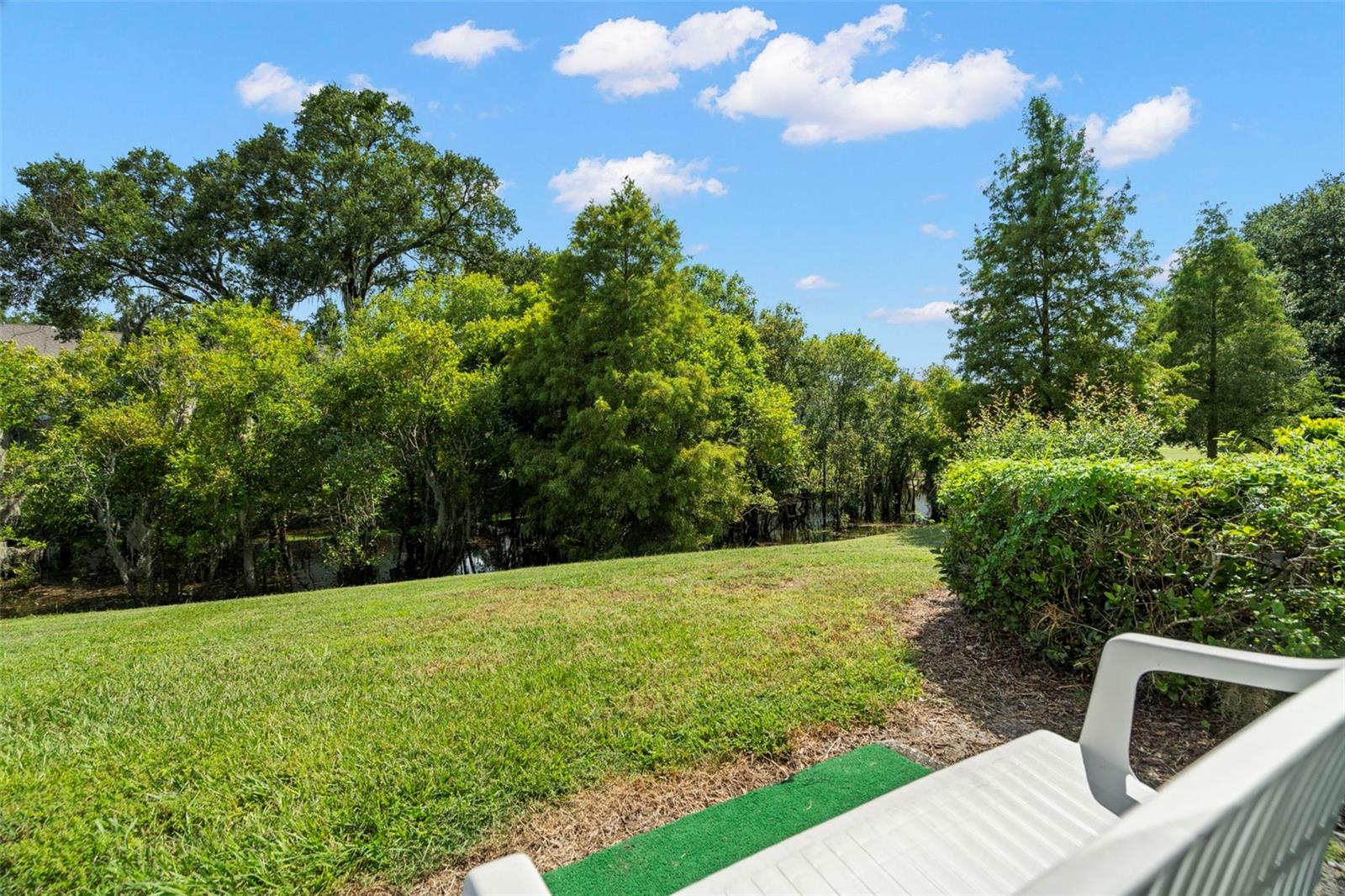 9917 ASHBURN LAKE DR, TAMPA, FL, 33610