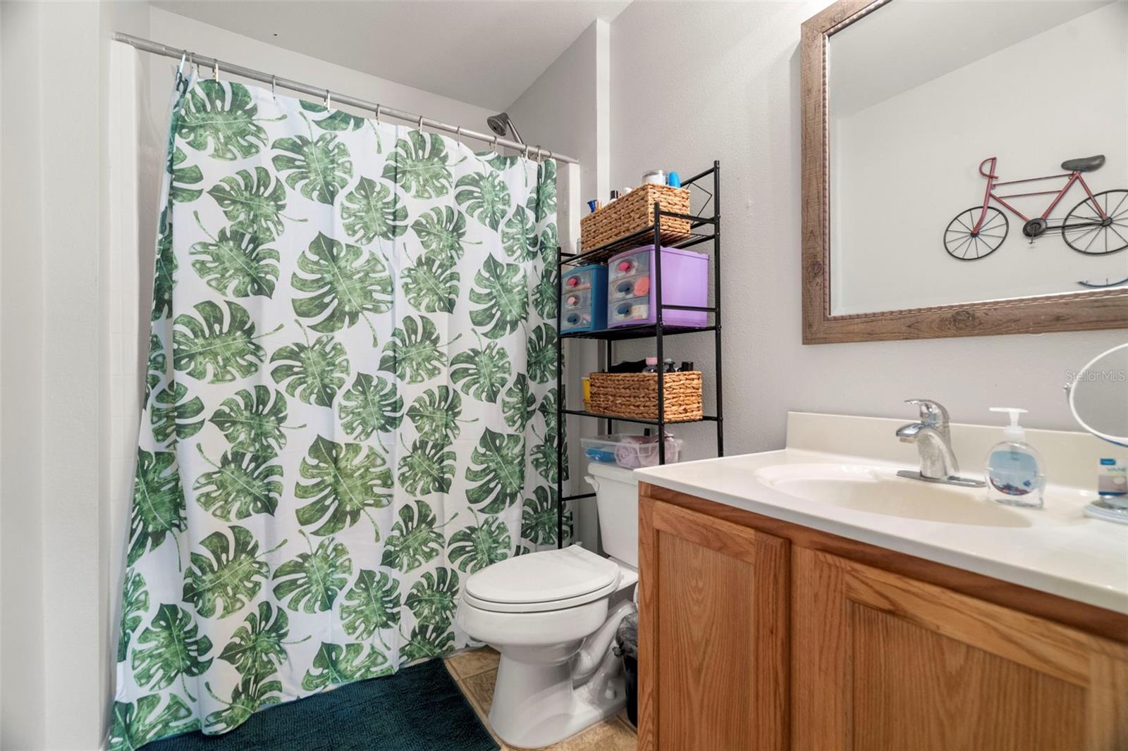 9917 ASHBURN LAKE DR, TAMPA, FL, 33610