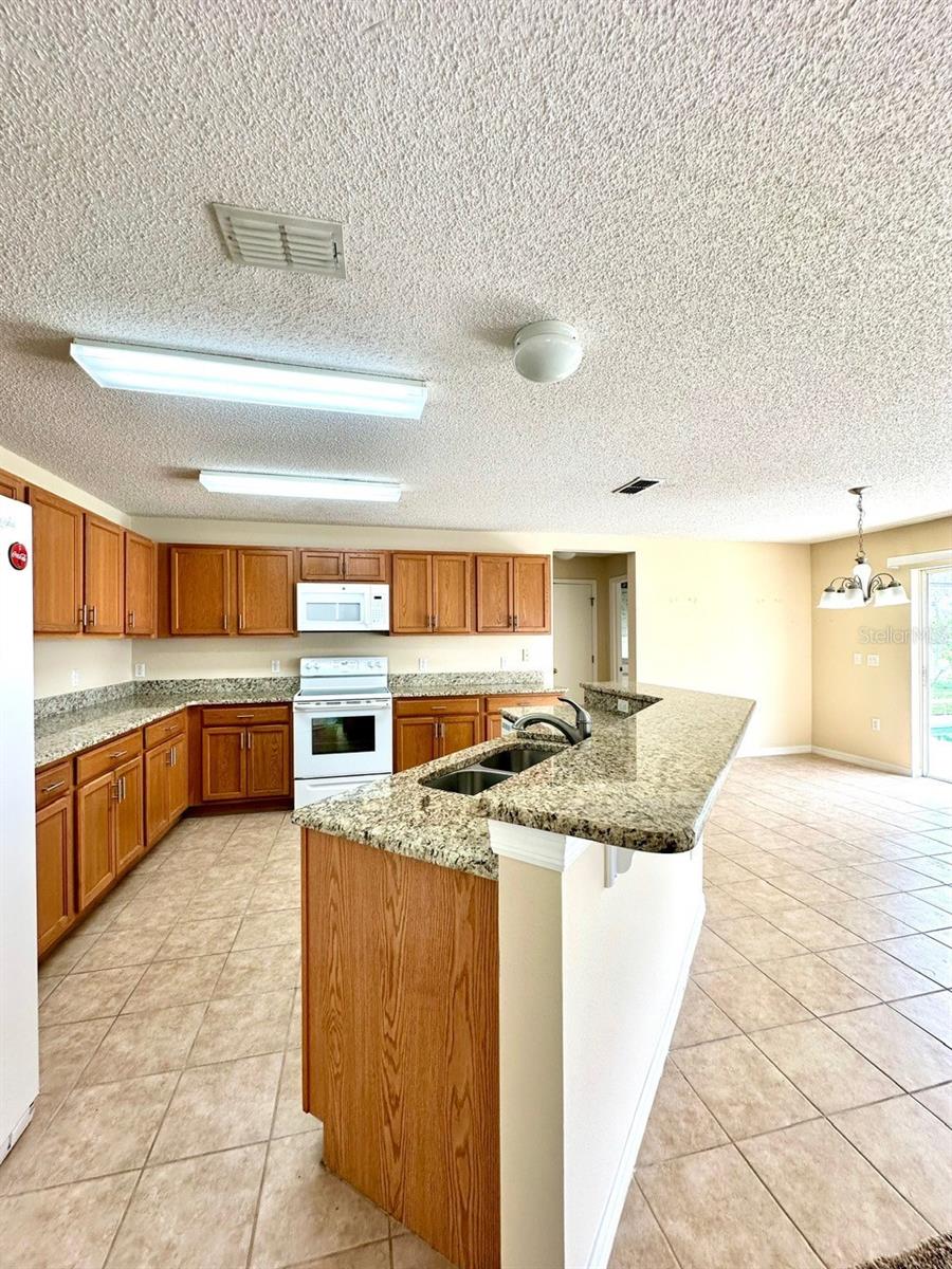 410 CANNA DR, DAVENPORT, FL, 33897