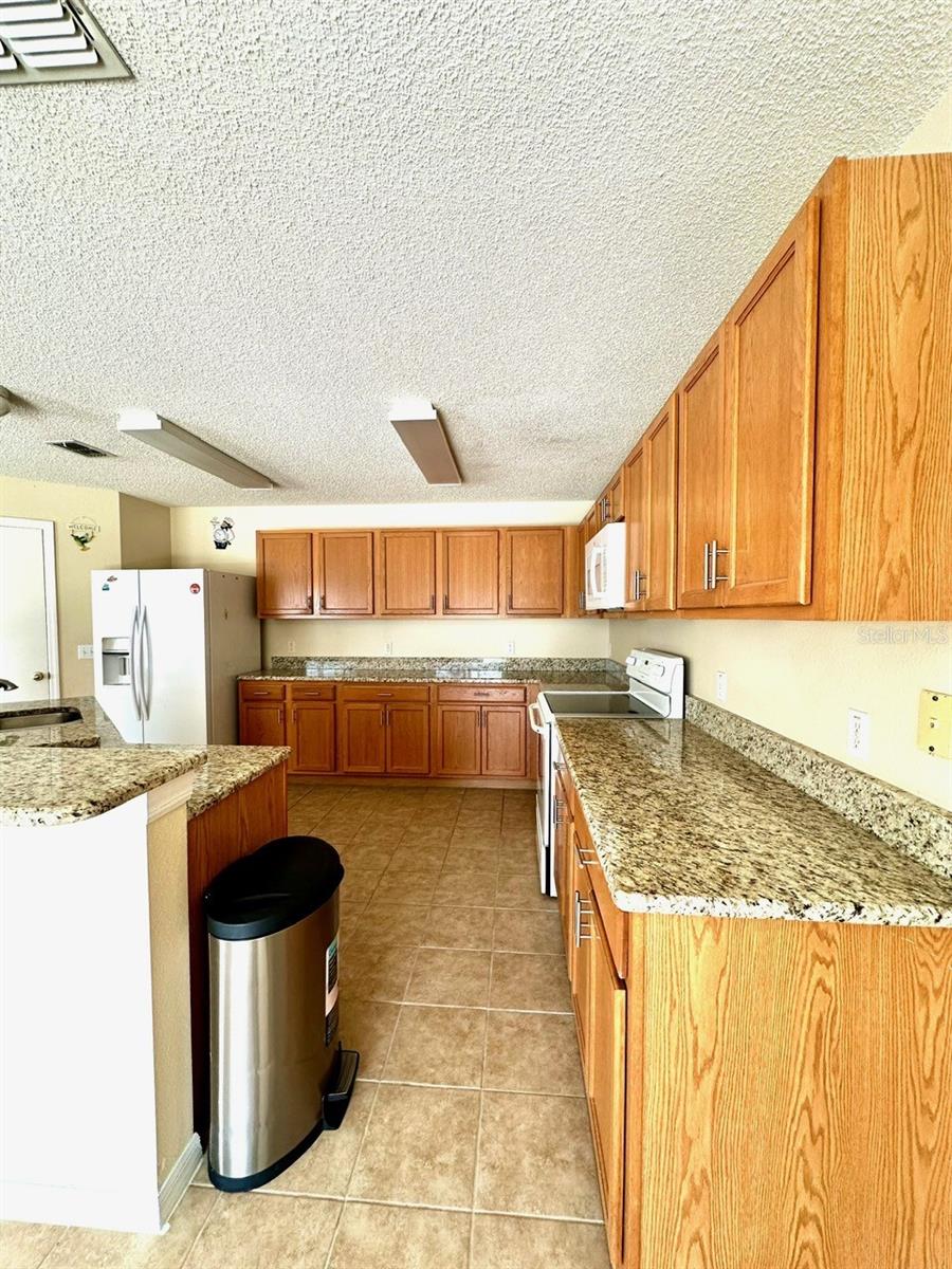 410 CANNA DR, DAVENPORT, FL, 33897