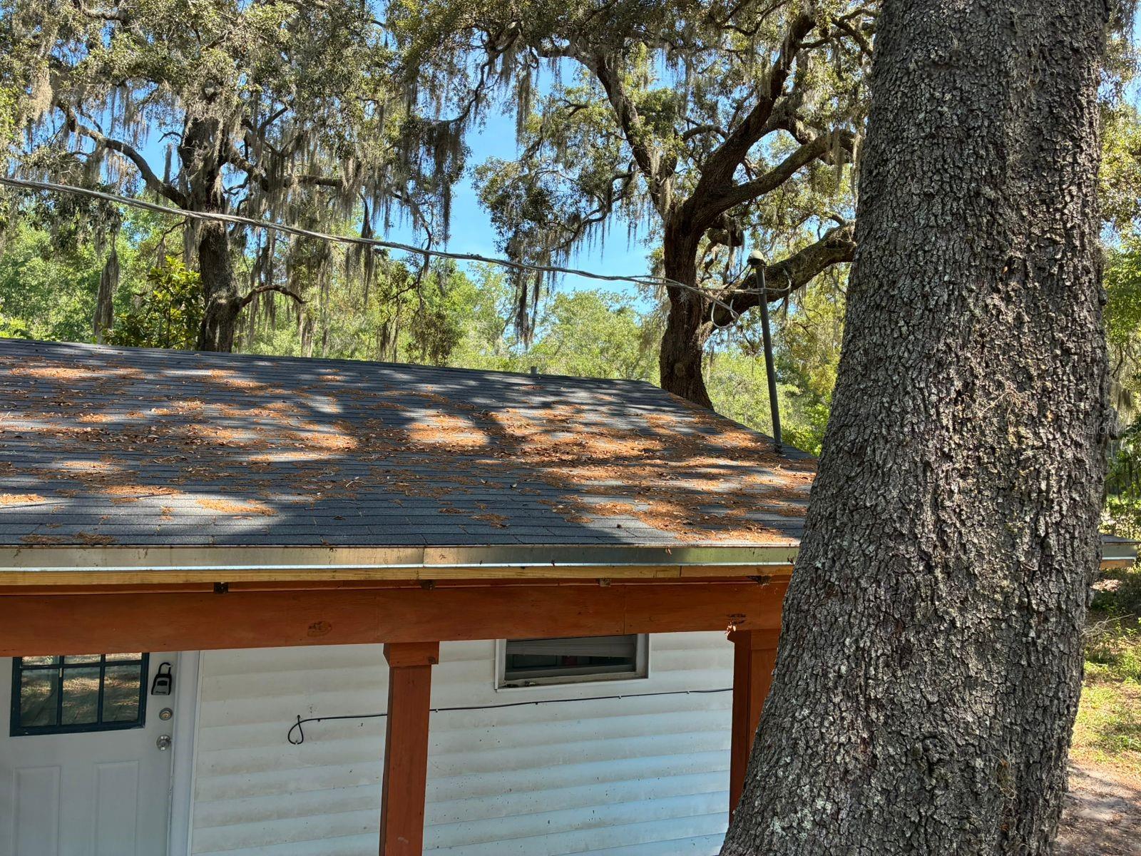 106 PENNSYLVANIA AVE, POMONA PARK, FL, 32181