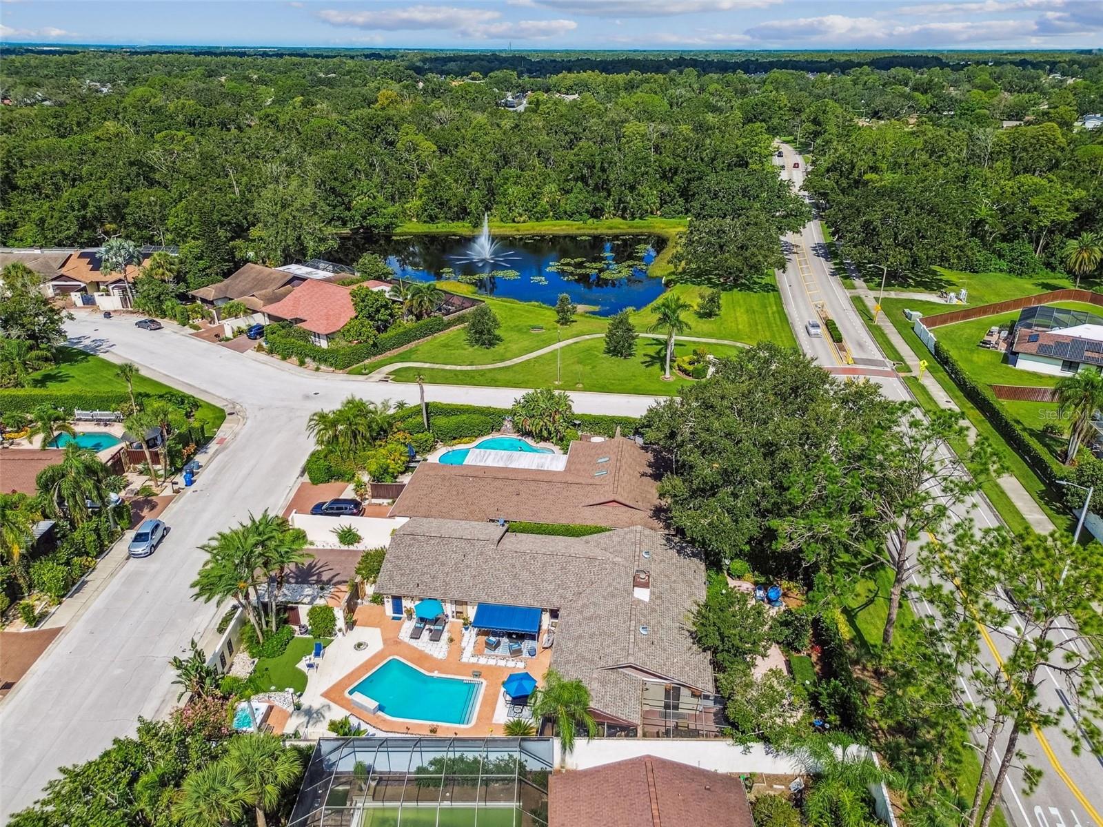 5004 PALOMA DR, TAMPA, FL, 33624