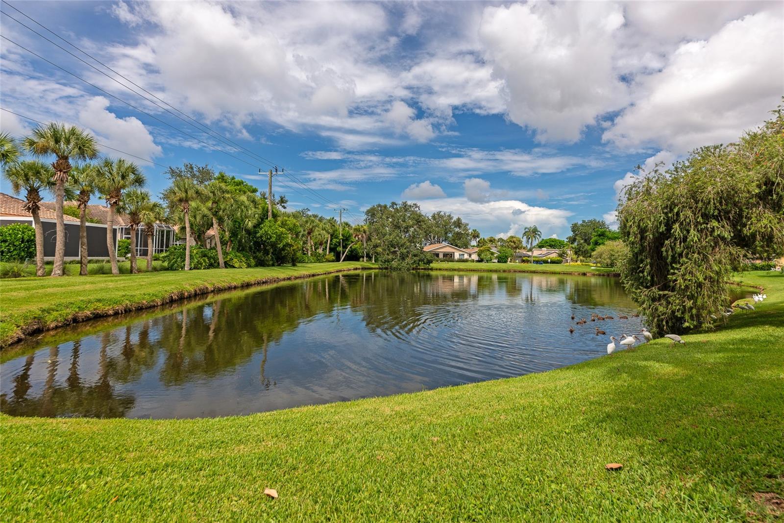 A4662198 Property Photo