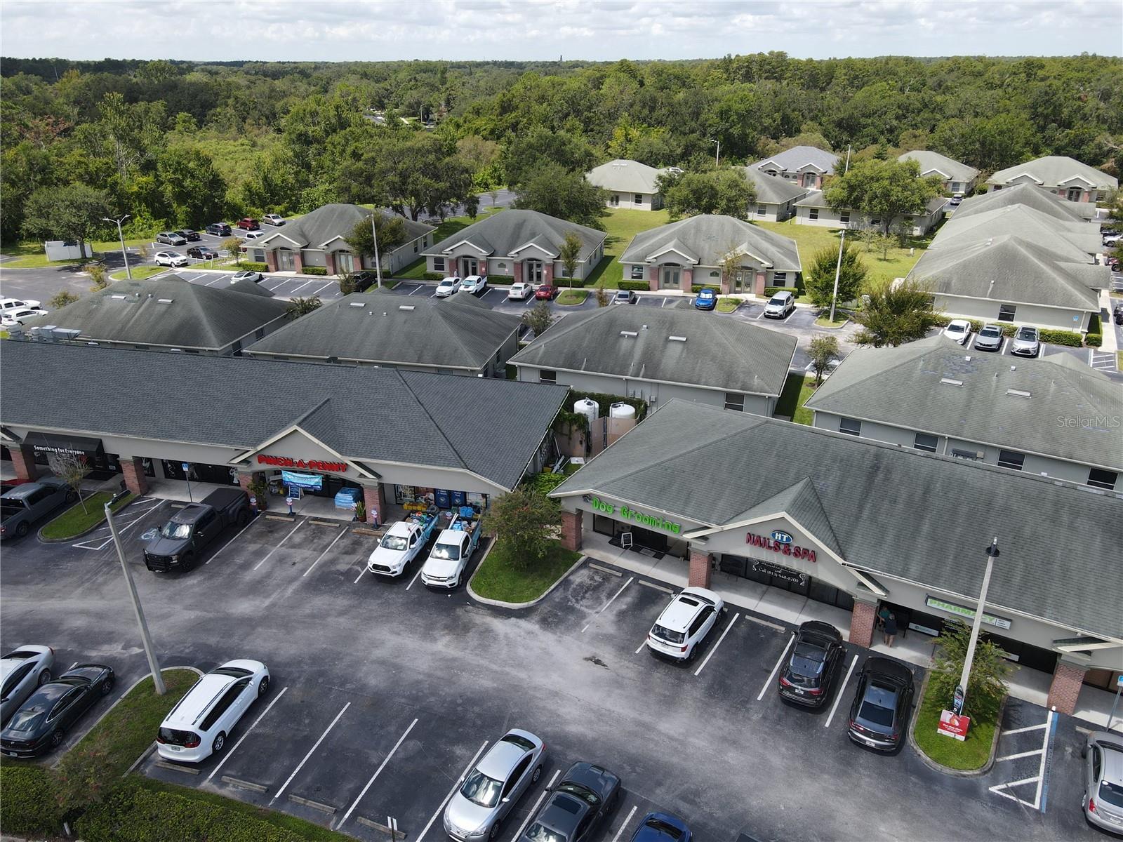 210 CRYSTAL GROVE BLVD, LUTZ, FL, 33548