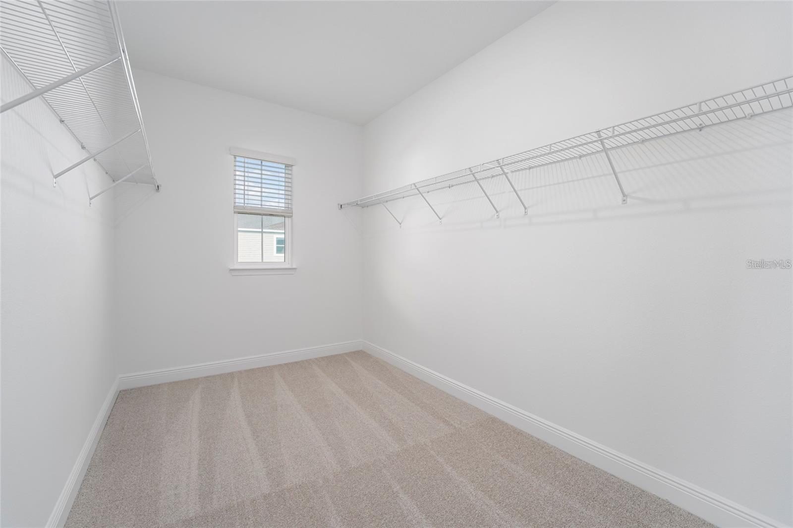 16944 HAMLIN OASIS LOOP, WINTER GARDEN, FL, 34787