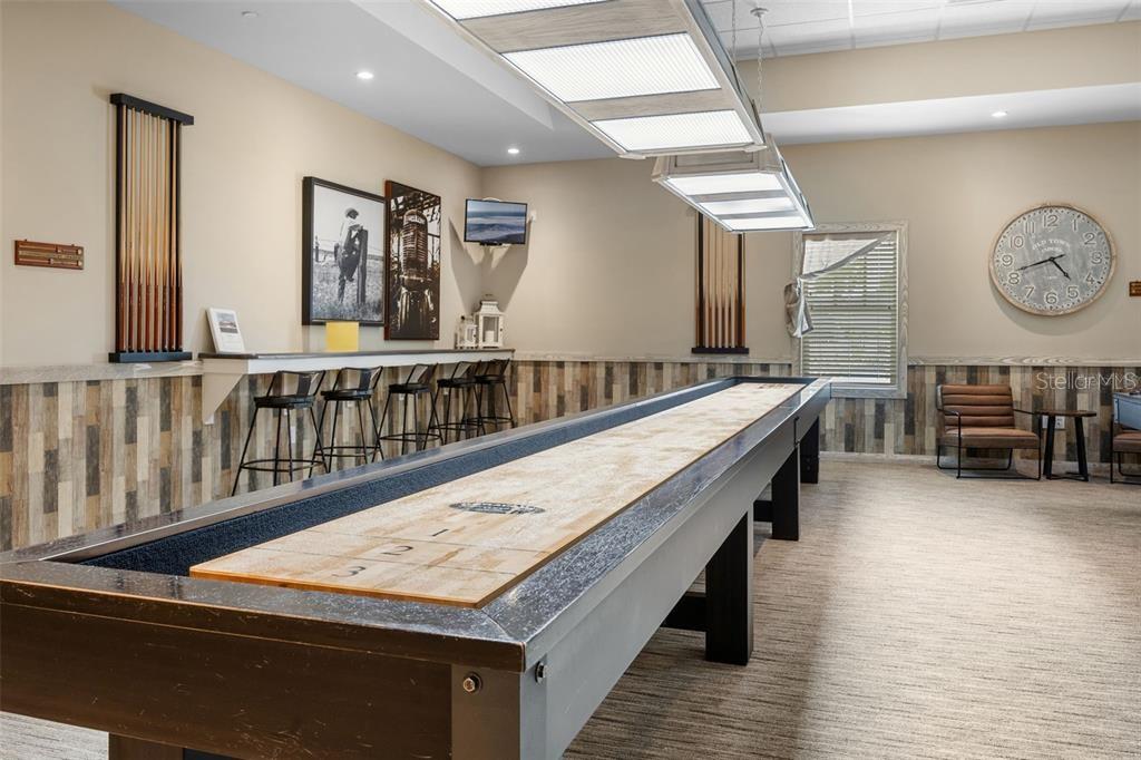 6131 SKINNER ST, THE VILLAGES, FL, 32163