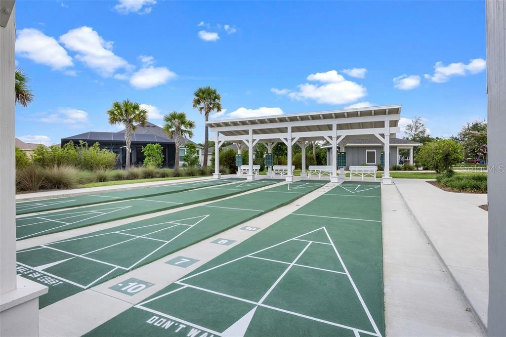 6131 SKINNER ST, THE VILLAGES, FL, 32163