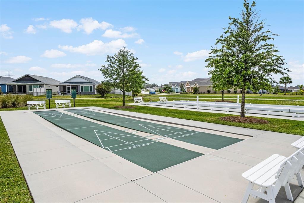 6131 SKINNER ST, THE VILLAGES, FL, 32163