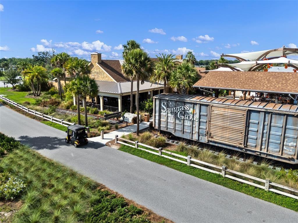 6131 SKINNER ST, THE VILLAGES, FL, 32163