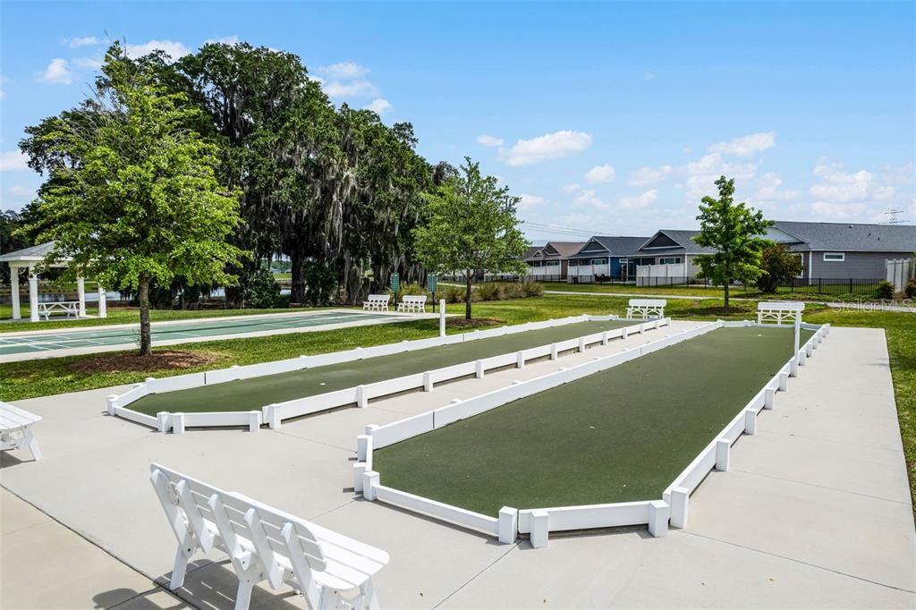 6131 SKINNER ST, THE VILLAGES, FL, 32163