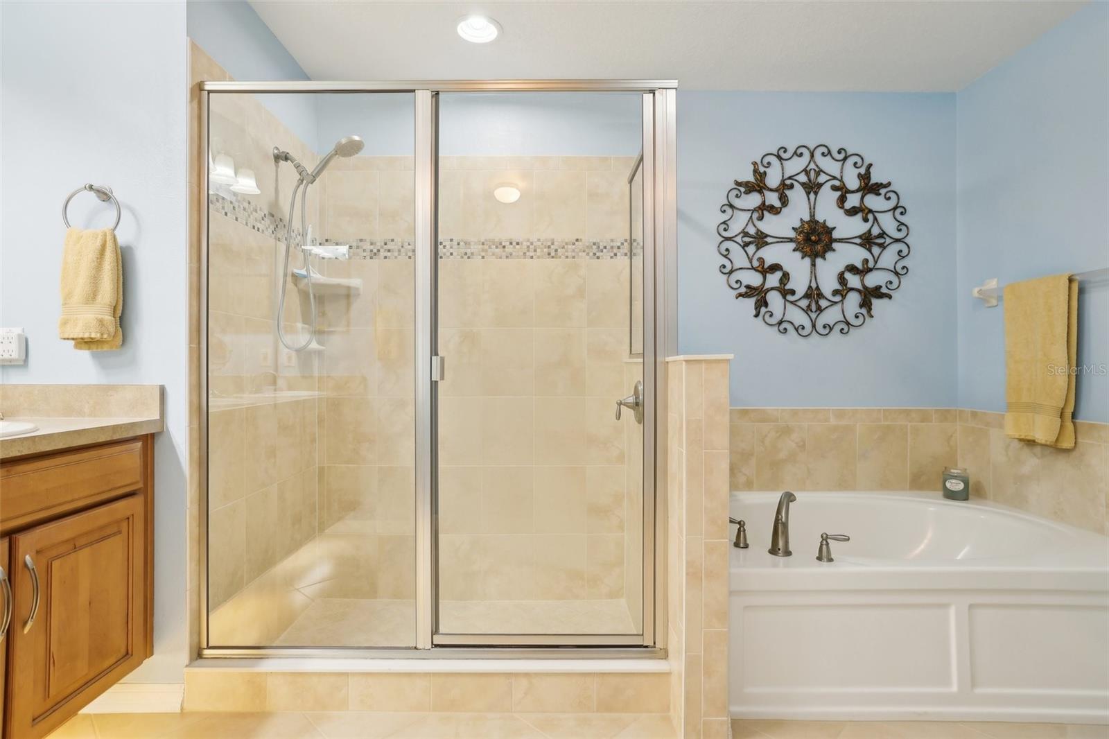 30308 LIPIZZAN TER, MOUNT DORA, FL, 32757