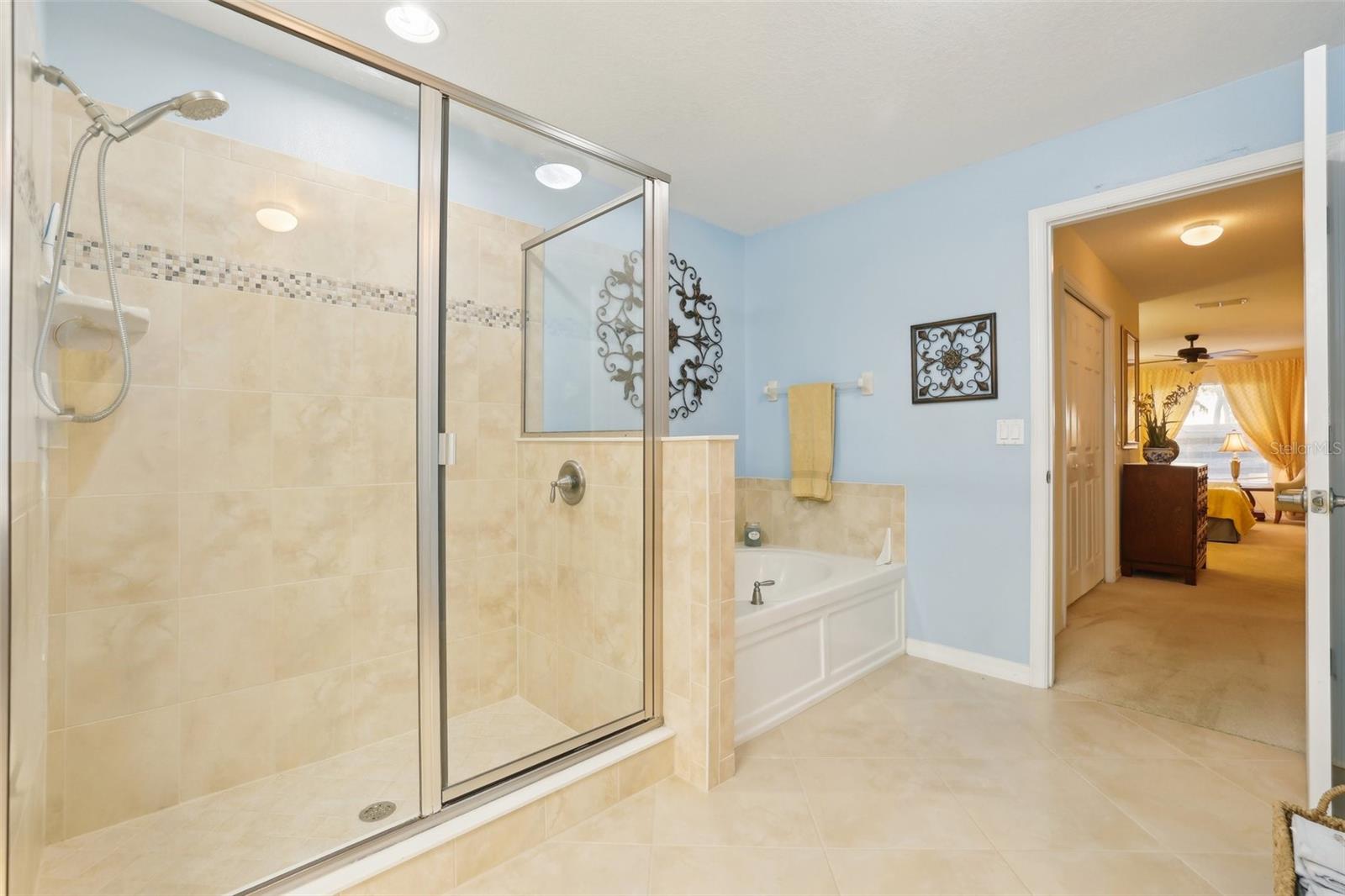 30308 LIPIZZAN TER, MOUNT DORA, FL, 32757