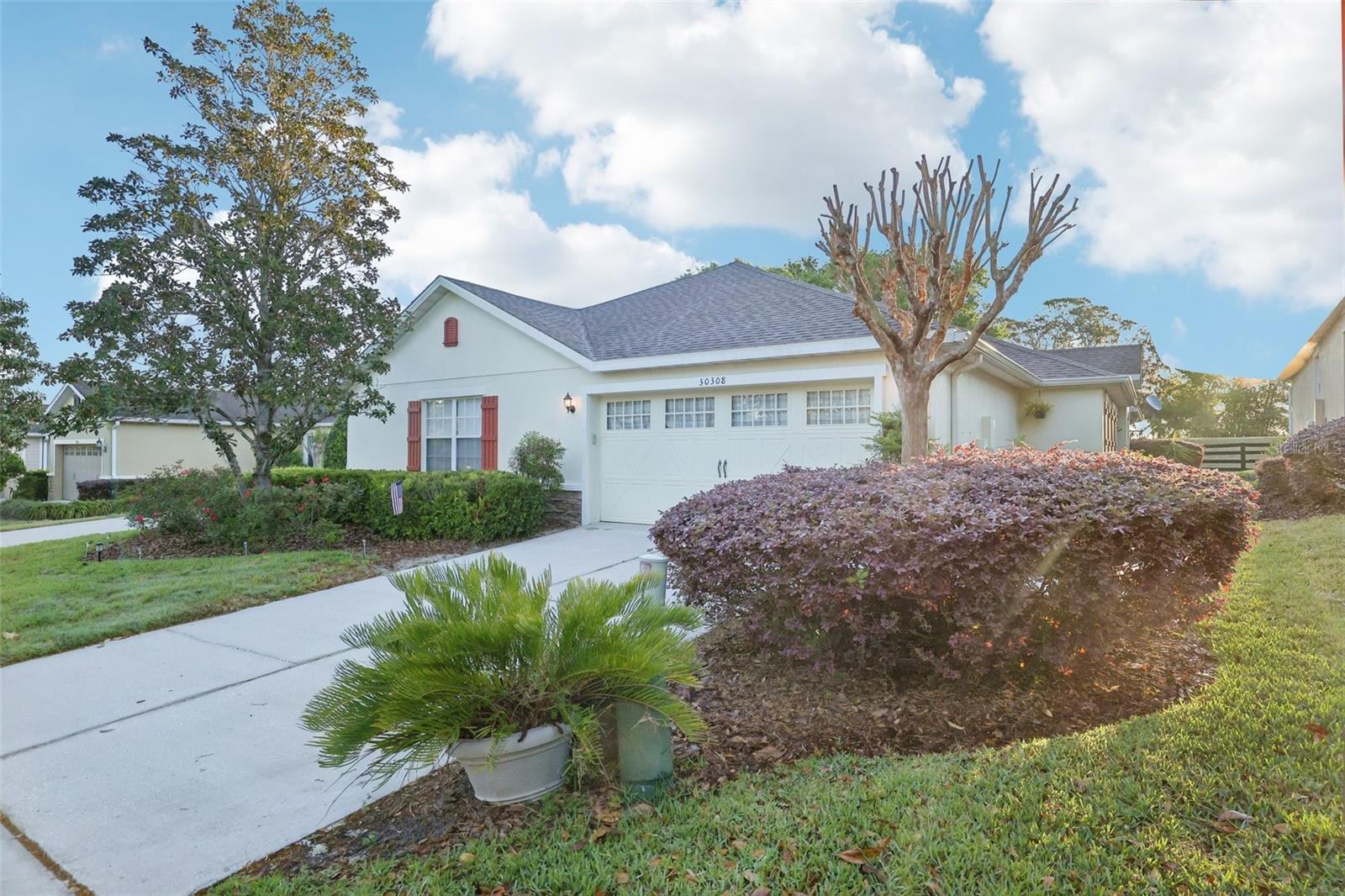 30308 LIPIZZAN TER, MOUNT DORA, FL, 32757