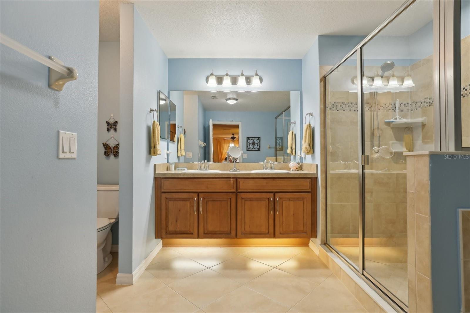 30308 LIPIZZAN TER, MOUNT DORA, FL, 32757