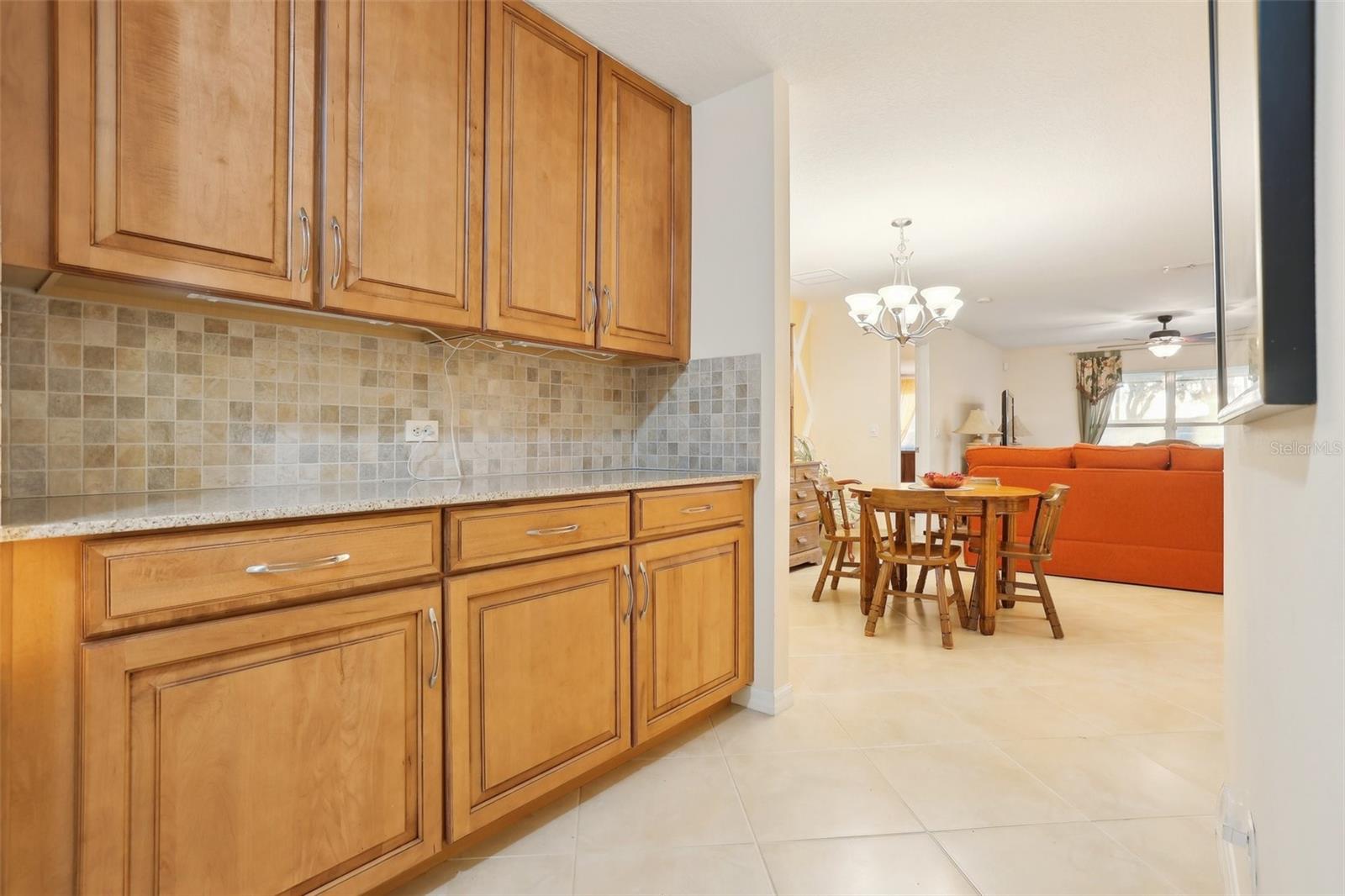 30308 LIPIZZAN TER, MOUNT DORA, FL, 32757