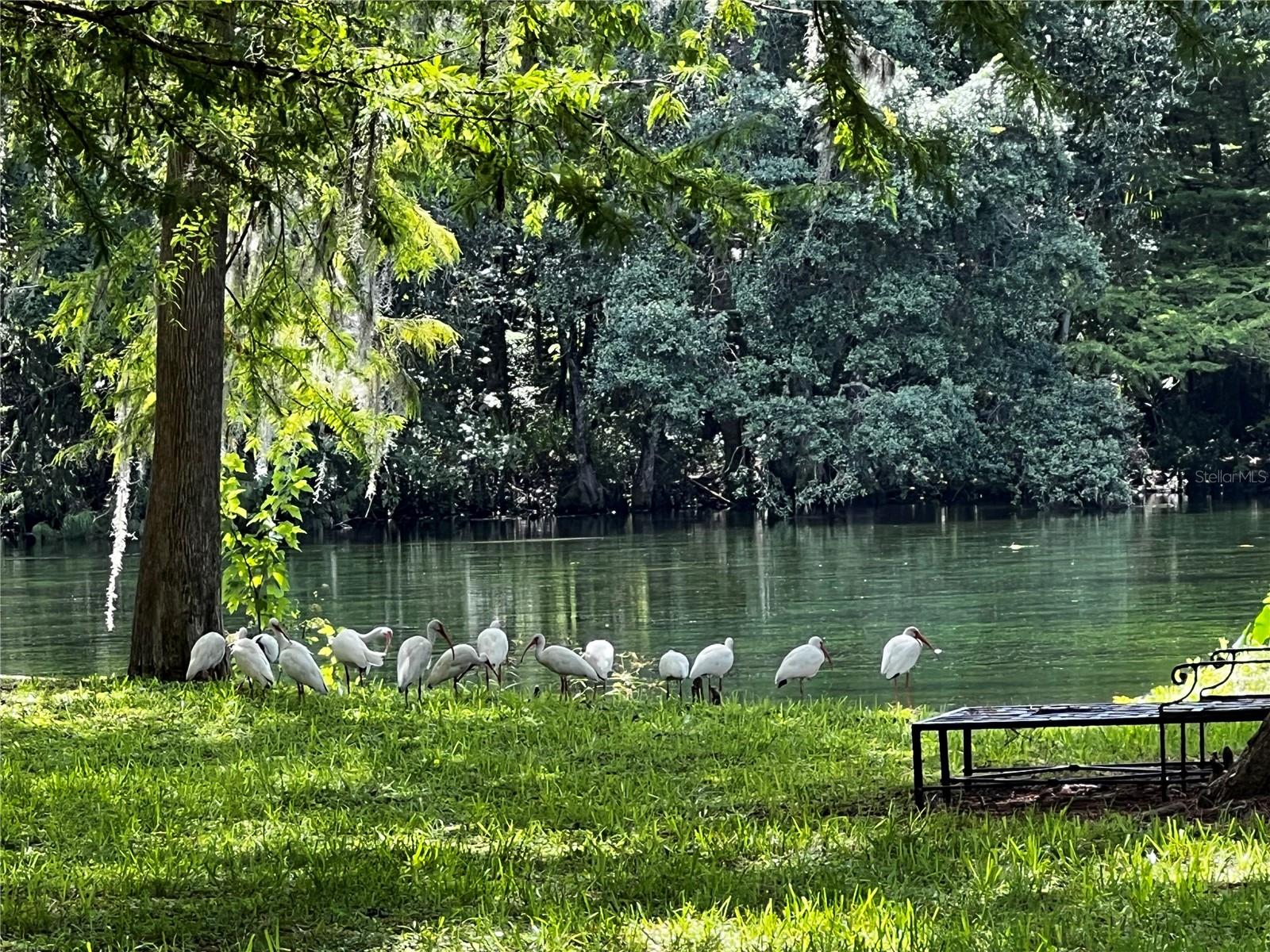 10801 SW 185TH TER, DUNNELLON, FL, 34432