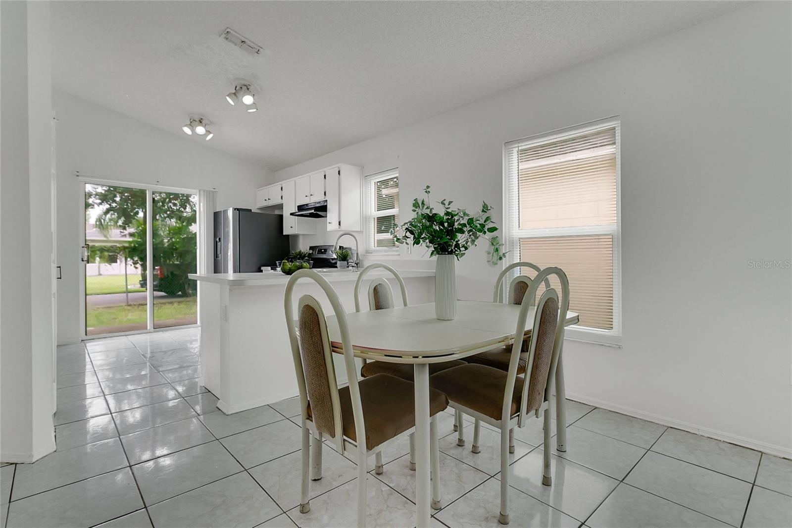 1131 ISADORE DR, ORLANDO, FL, 32825