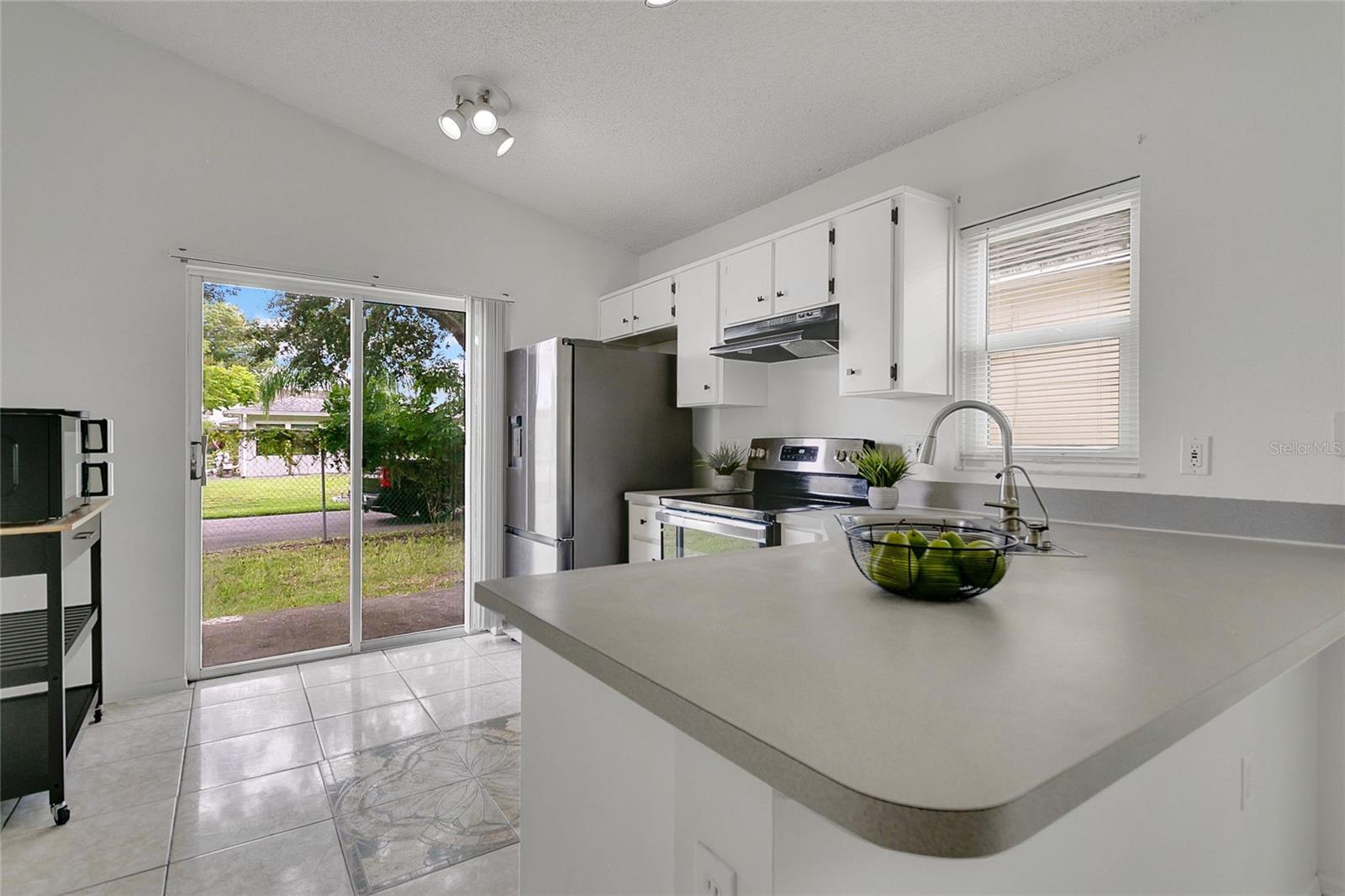 1131 ISADORE DR, ORLANDO, FL, 32825