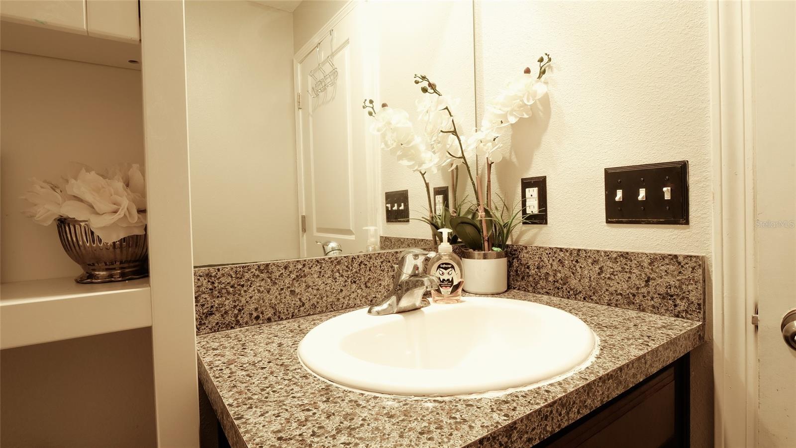 13615 WILLOW BLUESTAR LOOP, RIVERVIEW, FL, 33579