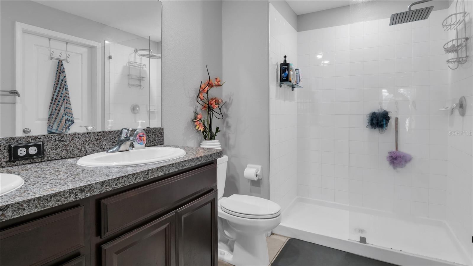 13615 WILLOW BLUESTAR LOOP, RIVERVIEW, FL, 33579