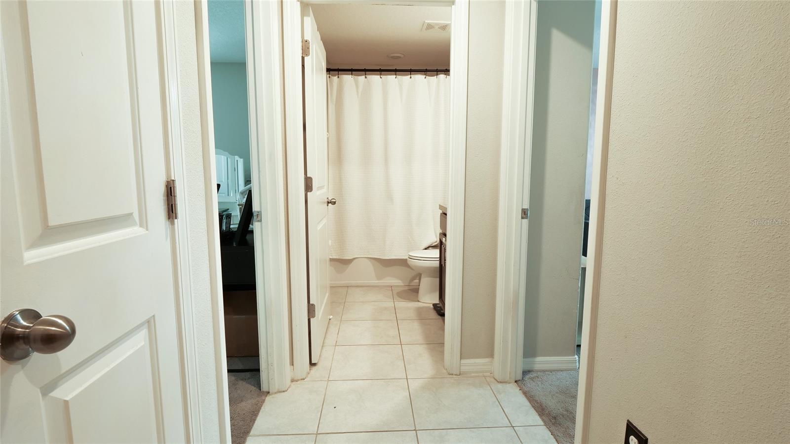 13615 WILLOW BLUESTAR LOOP, RIVERVIEW, FL, 33579