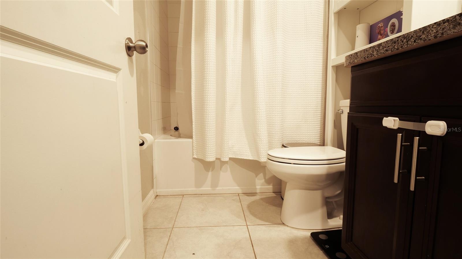 13615 WILLOW BLUESTAR LOOP, RIVERVIEW, FL, 33579