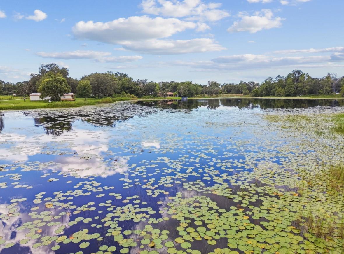 18216 STATE ROAD 52, LAND O LAKES, FL, 34638