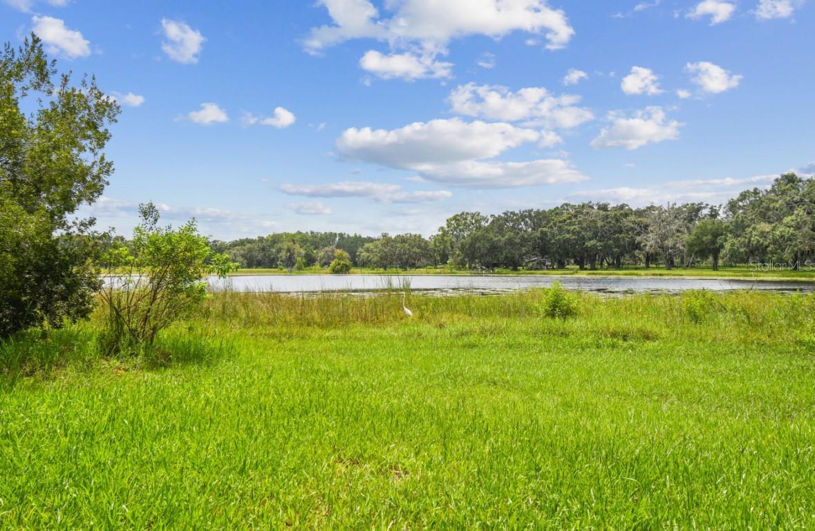 18216 STATE ROAD 52, LAND O LAKES, FL, 34638