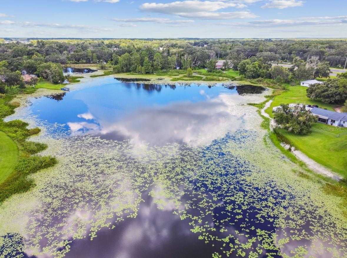 18216 STATE ROAD 52, LAND O LAKES, FL, 34638