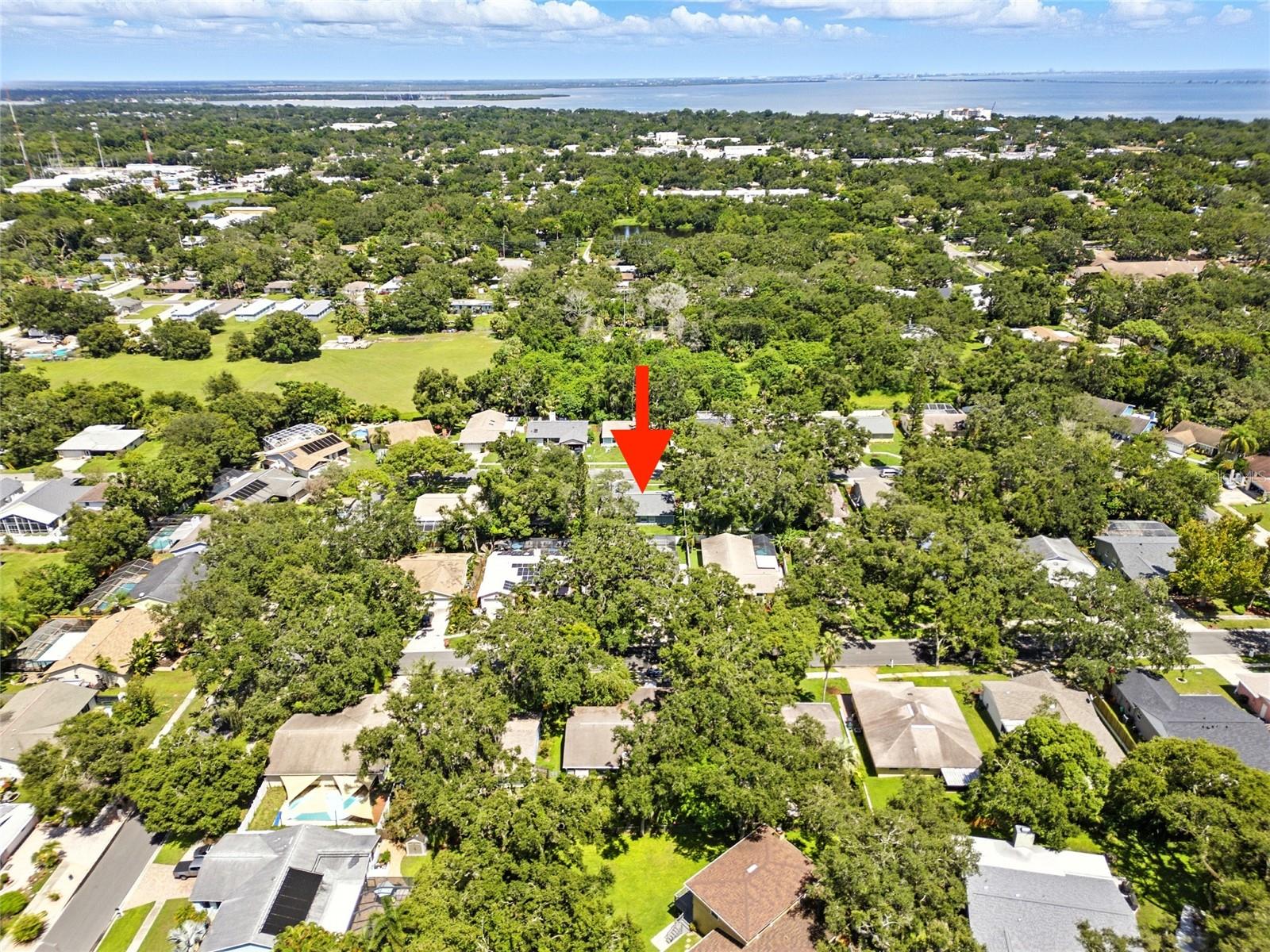 29 HARBOR OAKS CIR, SAFETY HARBOR, FL, 34695
