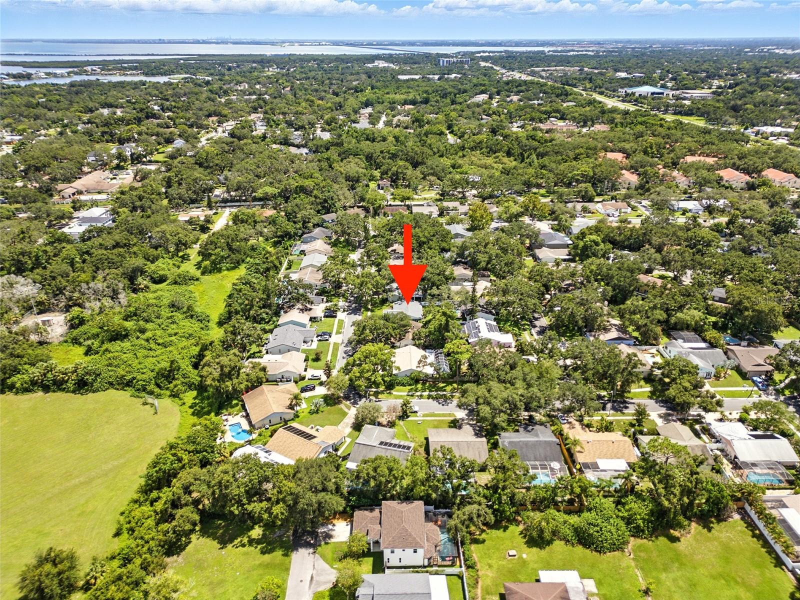 29 HARBOR OAKS CIR, SAFETY HARBOR, FL, 34695