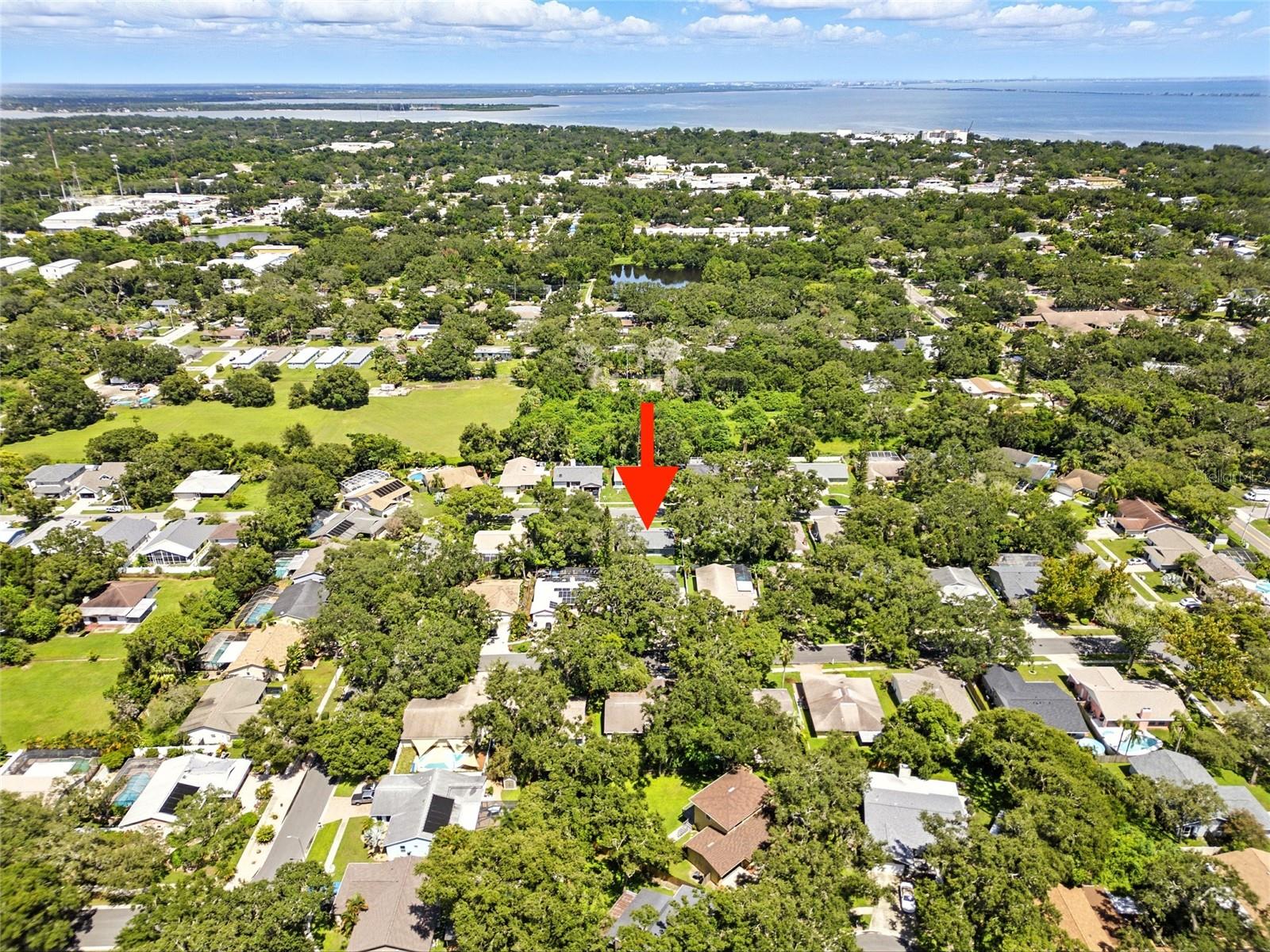 29 HARBOR OAKS CIR, SAFETY HARBOR, FL, 34695