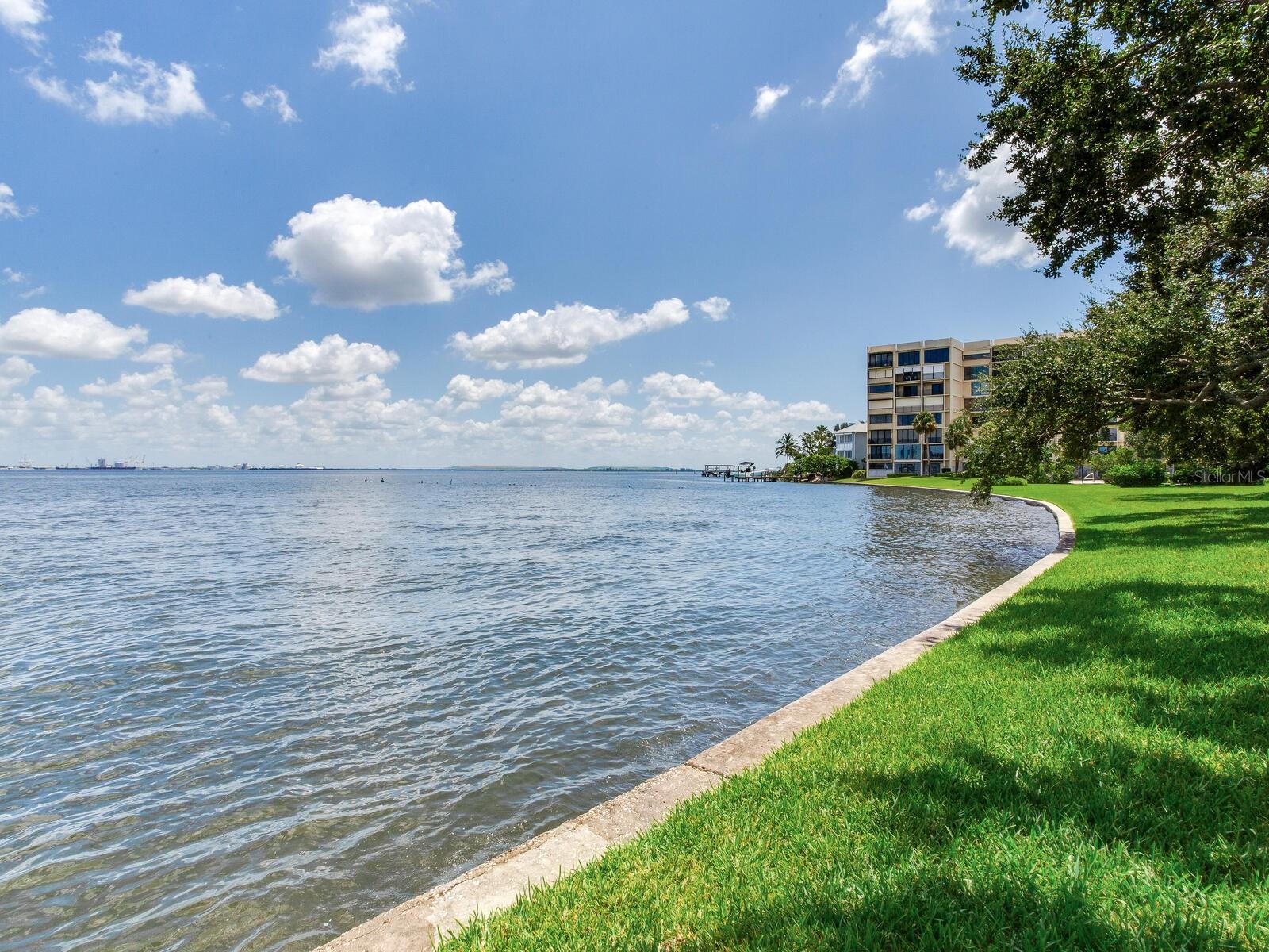 5010 BAYSHORE BLVD #7, TAMPA, FL, 33611