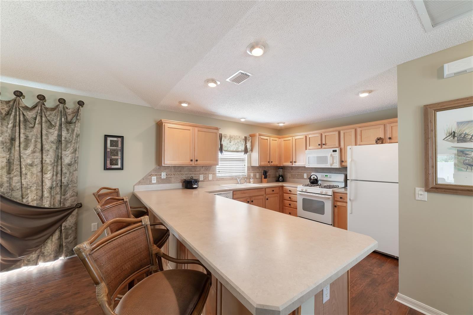 1497 ALEXANDRIA PL, THE VILLAGES, FL, 32162