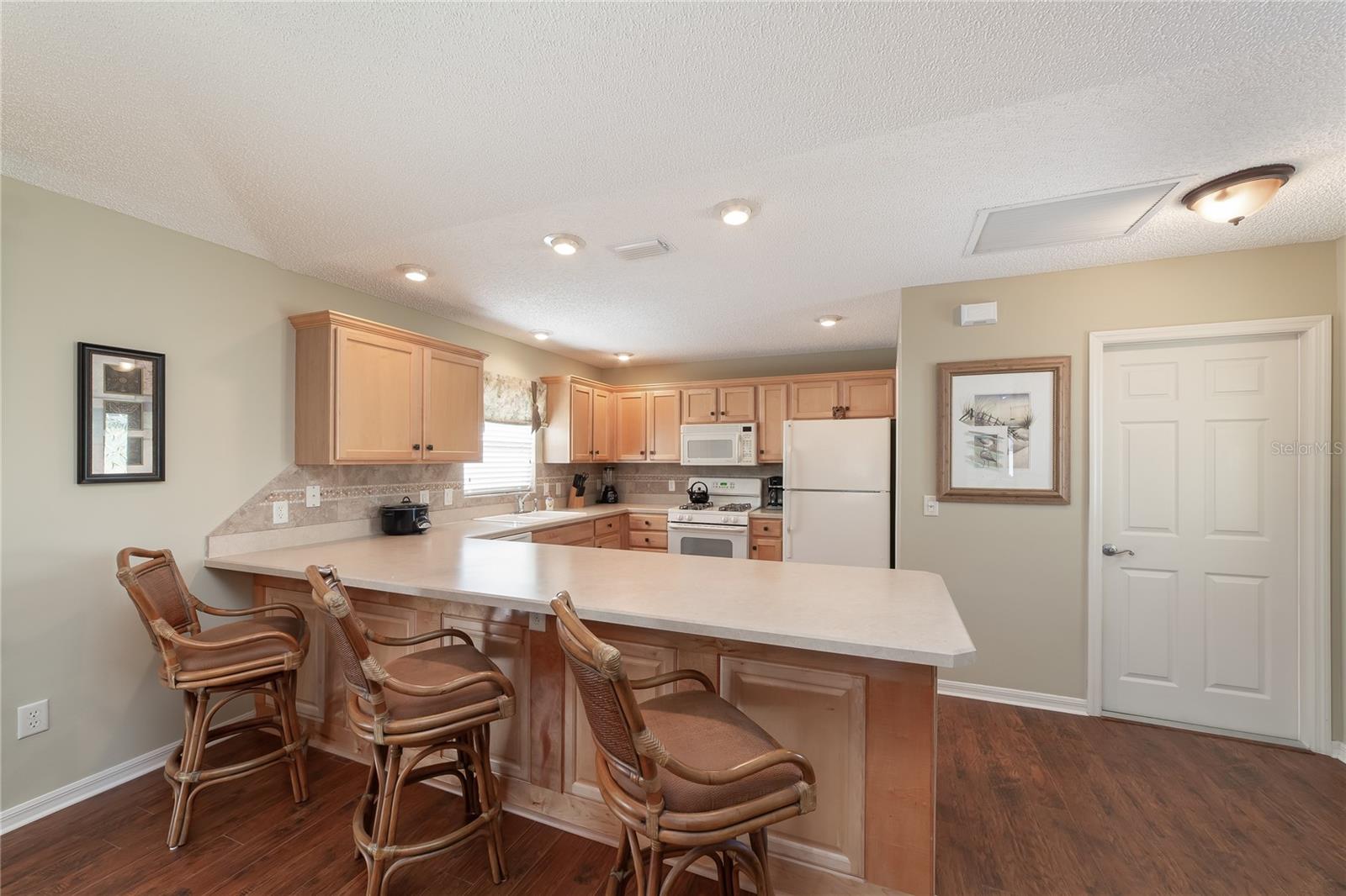 1497 ALEXANDRIA PL, THE VILLAGES, FL, 32162