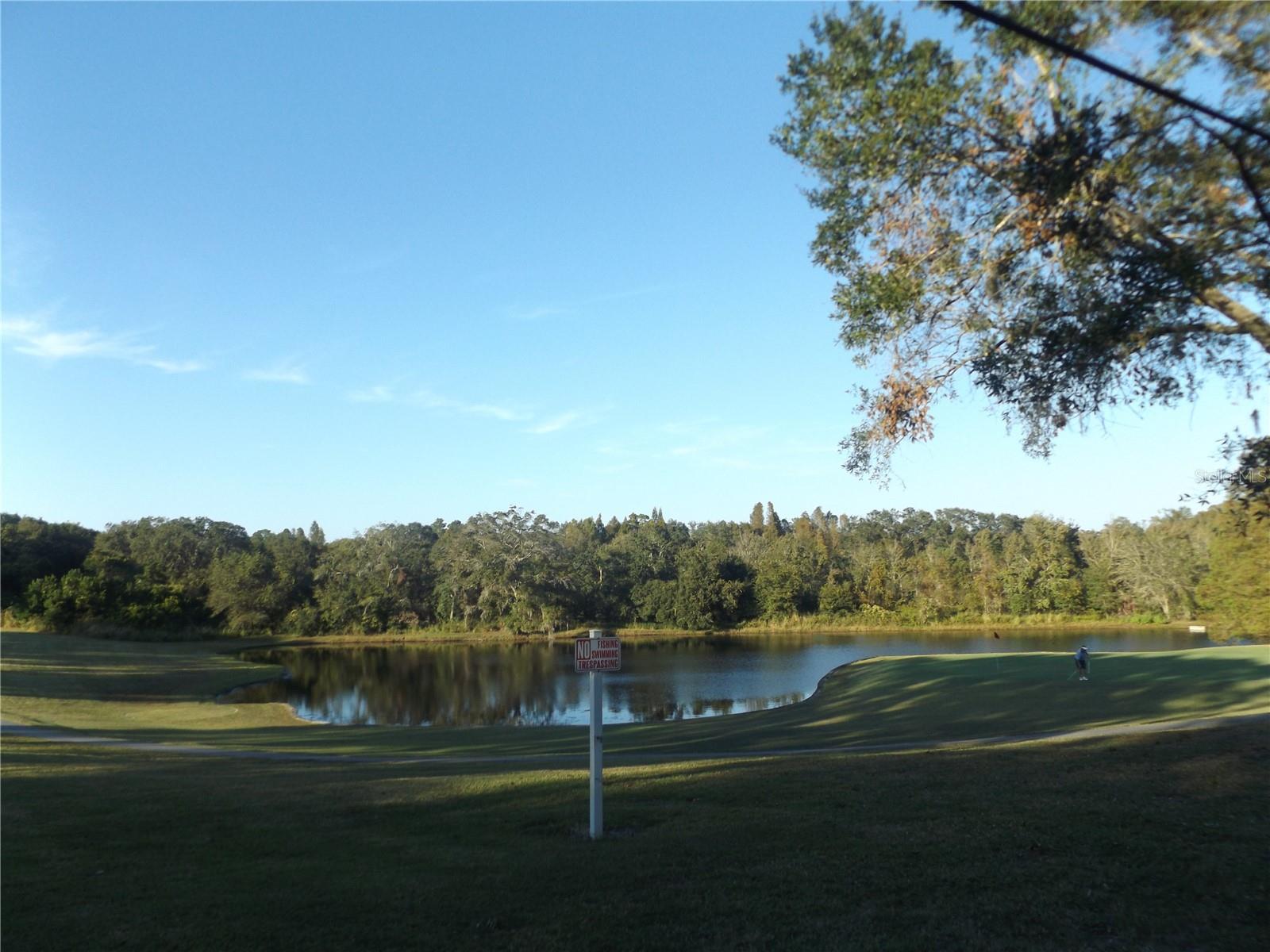 776 LAKEWOOD DR, PALM HARBOR, FL, 34684