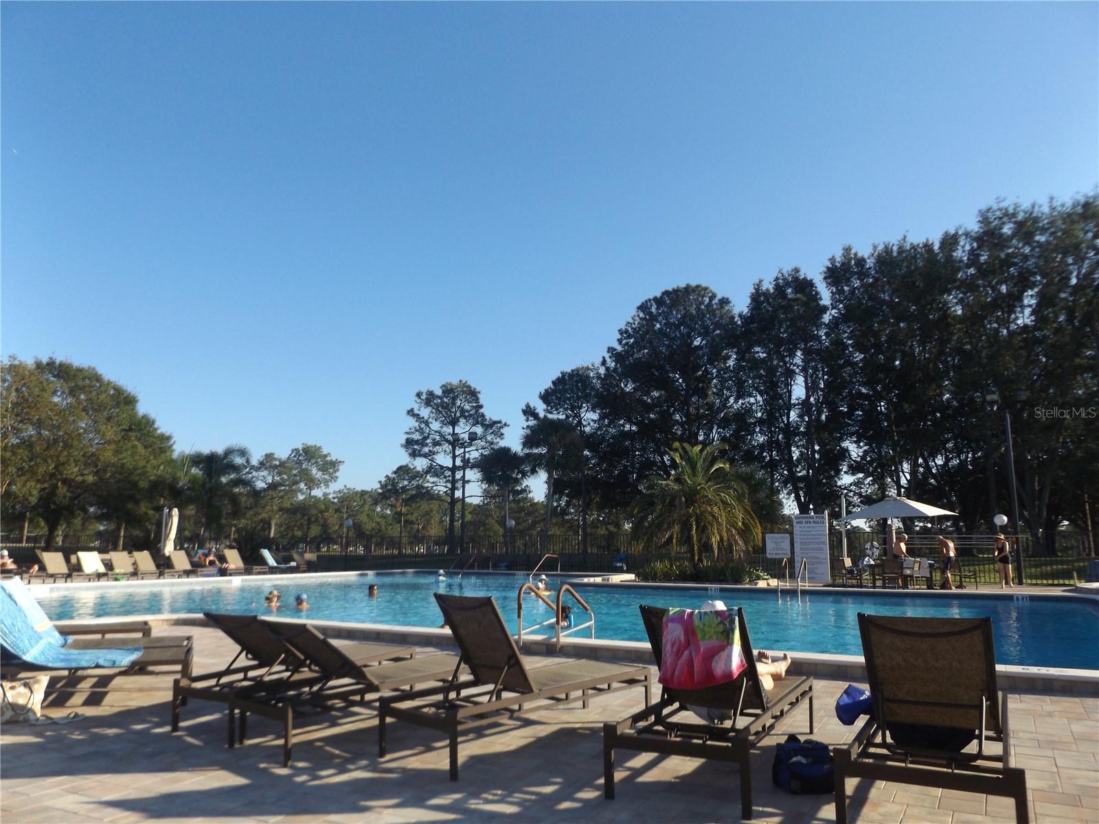 776 LAKEWOOD DR, PALM HARBOR, FL, 34684