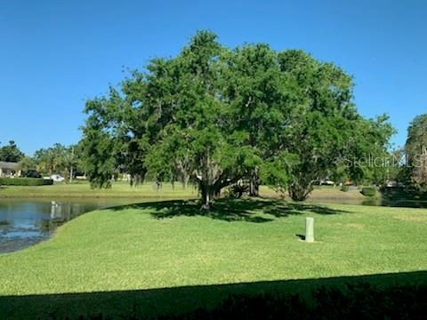 776 LAKEWOOD DR, PALM HARBOR, FL, 34684