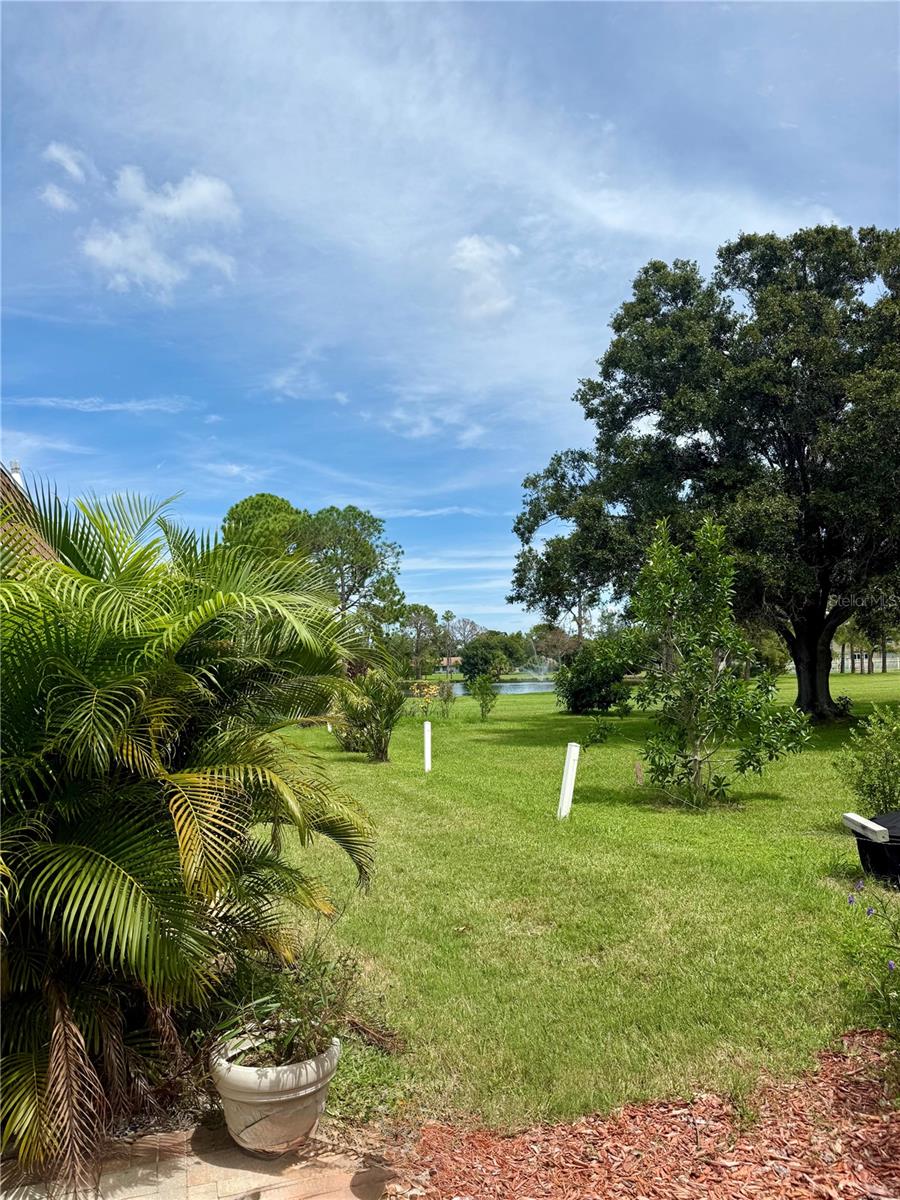 8205 BURGUNDY DR N #8205, PINELLAS PARK, FL, 33781