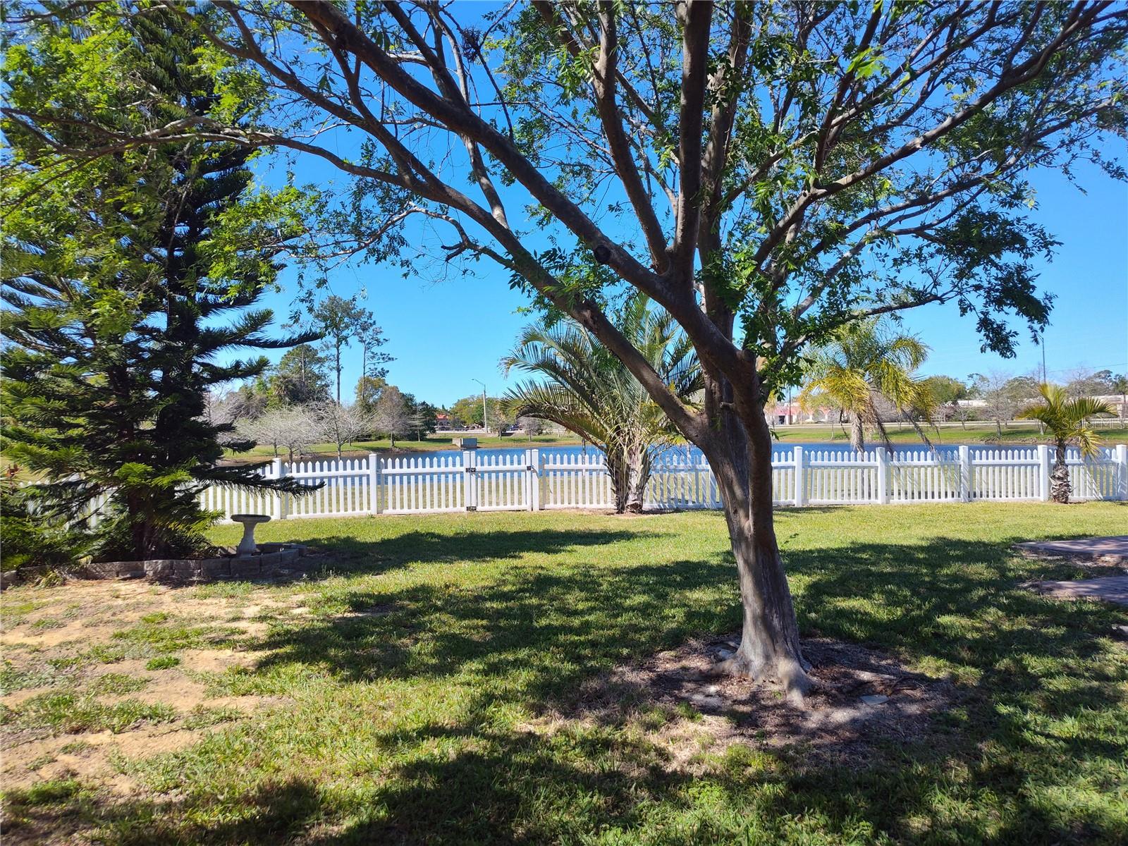 BAYWOOD REP, PORT ORANGE, FL, 32127