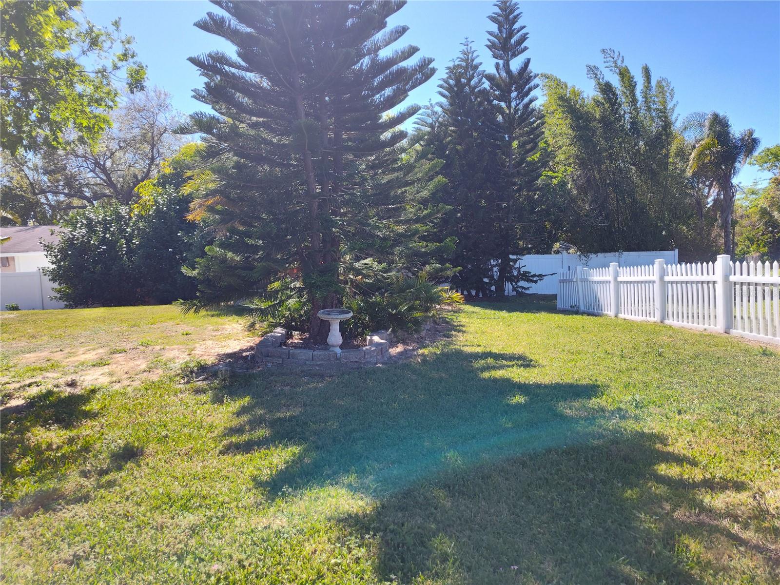 BAYWOOD REP, PORT ORANGE, FL, 32127