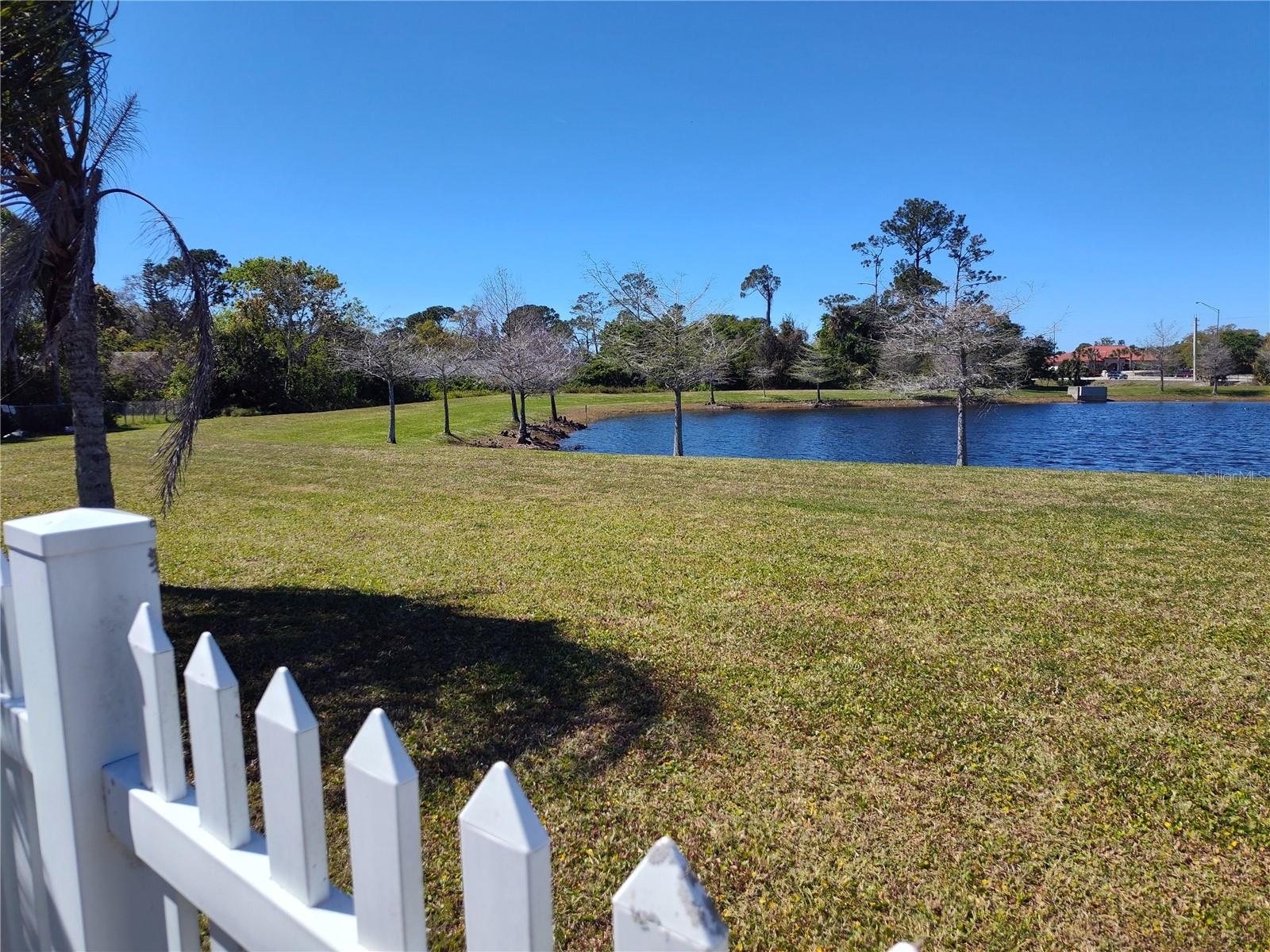 BAYWOOD REP, PORT ORANGE, FL, 32127