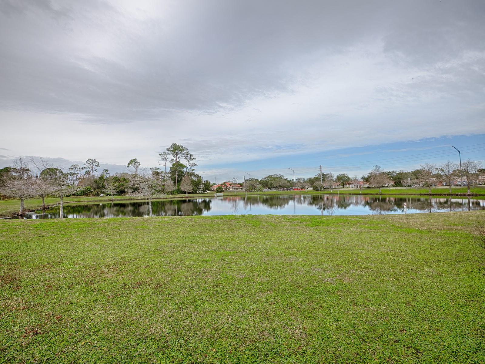 BAYWOOD REP, PORT ORANGE, FL, 32127