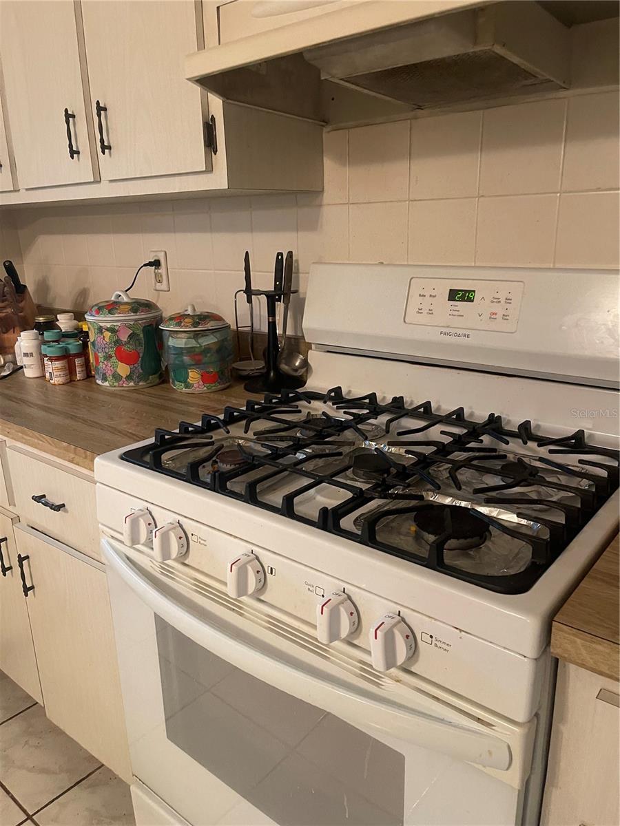 3770 NE 19TH AVE, OCALA, FL, 34479