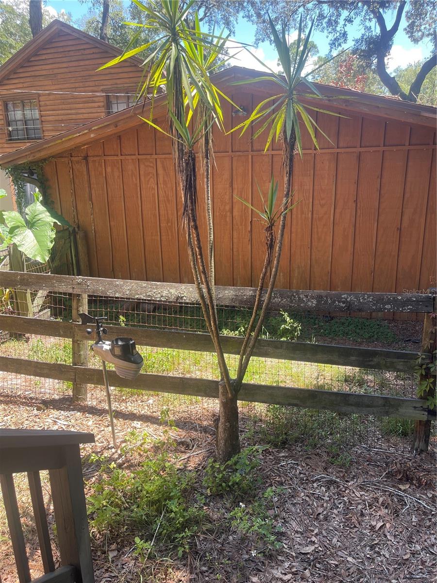 3770 NE 19TH AVE, OCALA, FL, 34479