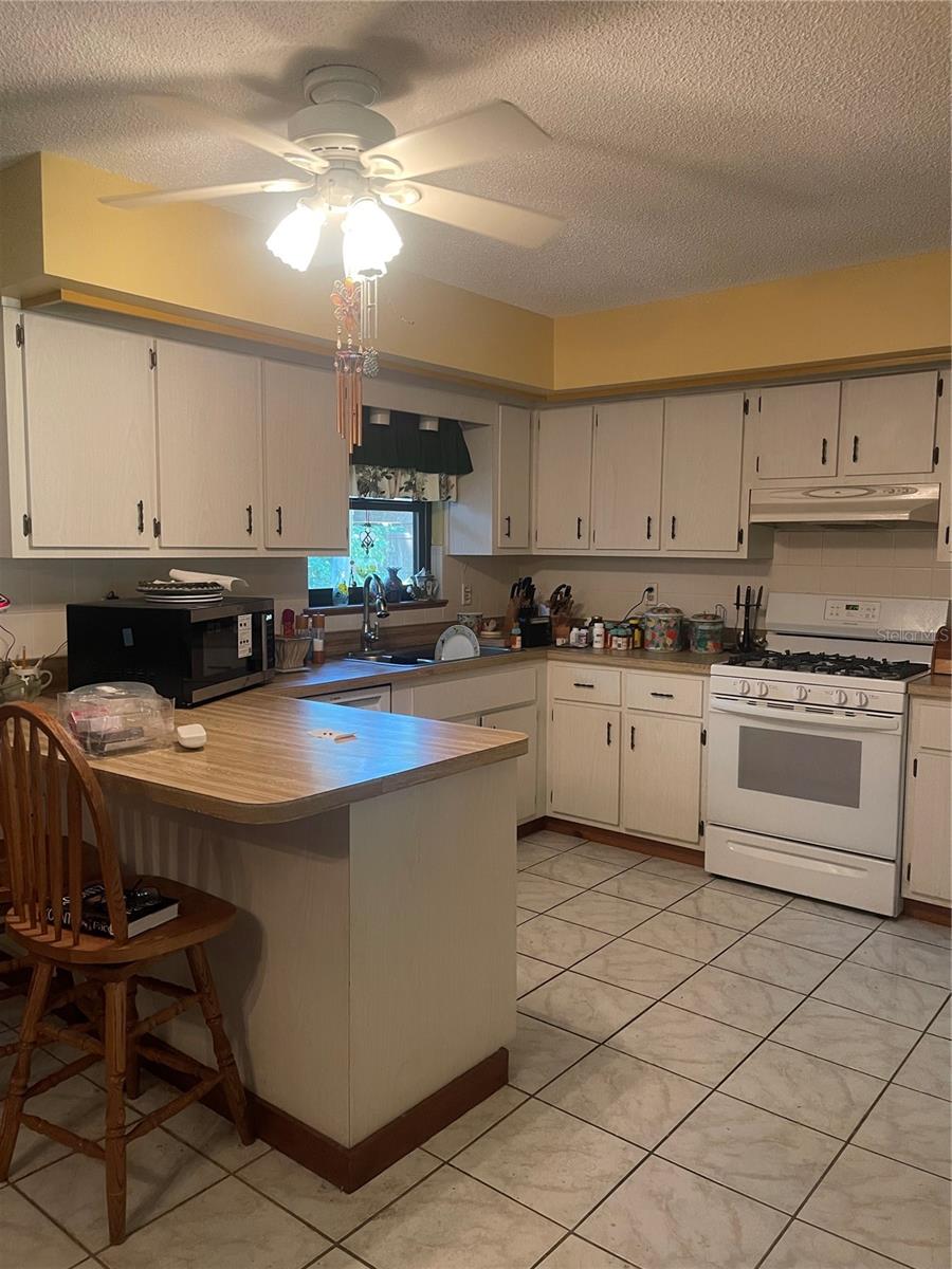 3770 NE 19TH AVE, OCALA, FL, 34479