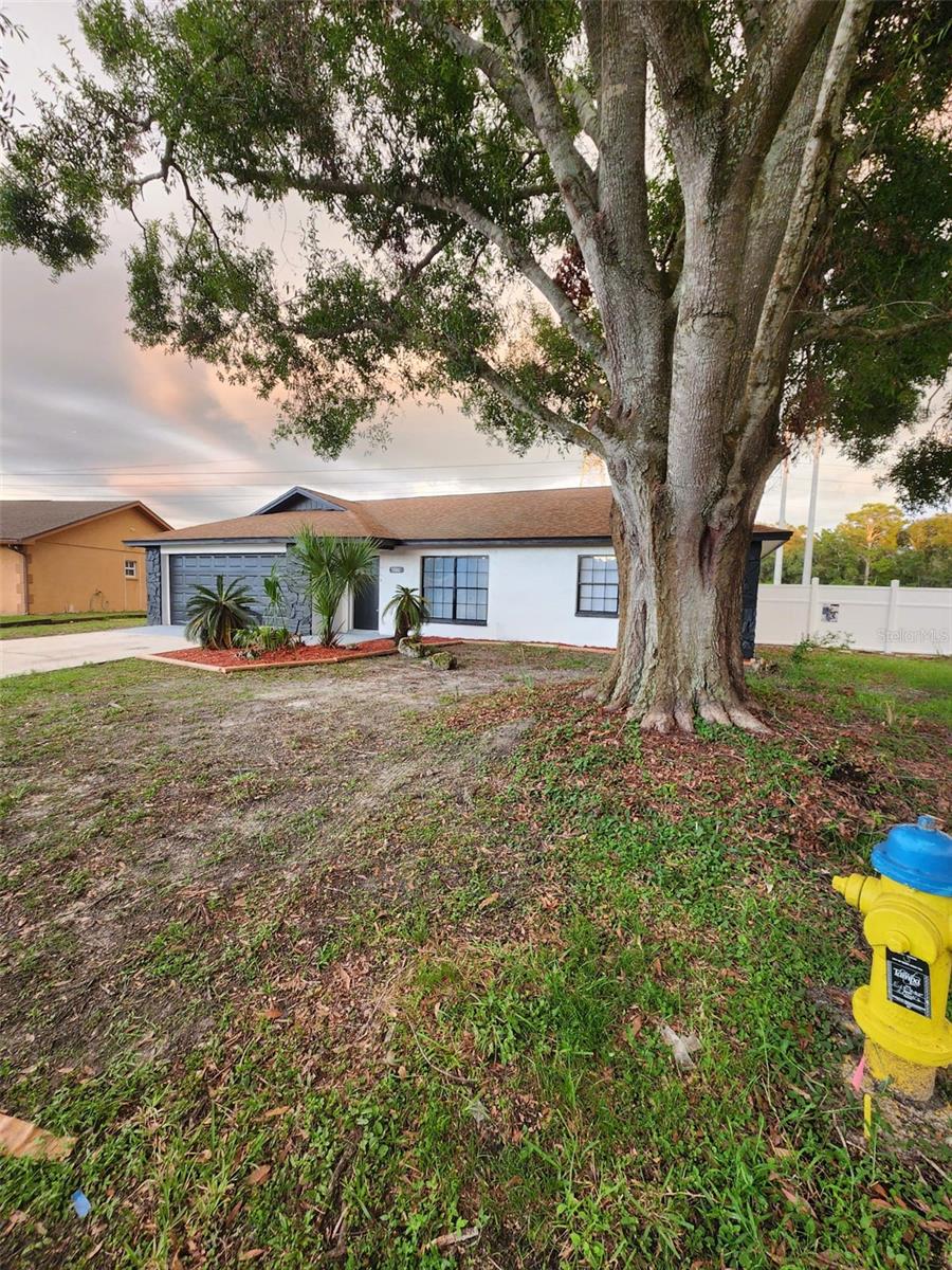 8058 DEERWOOD CIR, TAMPA, FL, 33610