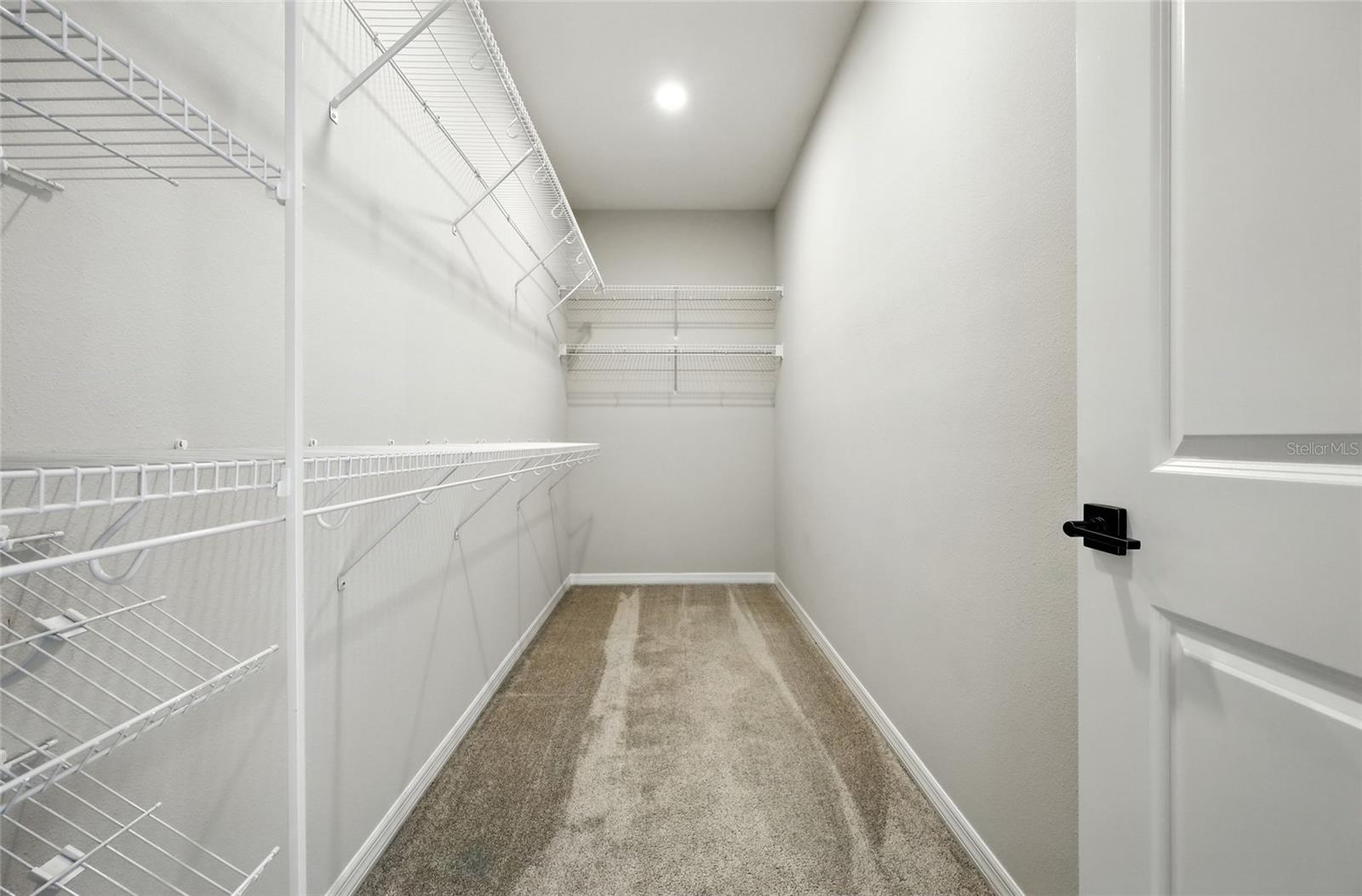 12114 STONELEIGH ALY, WINTER GARDEN, FL, 34787